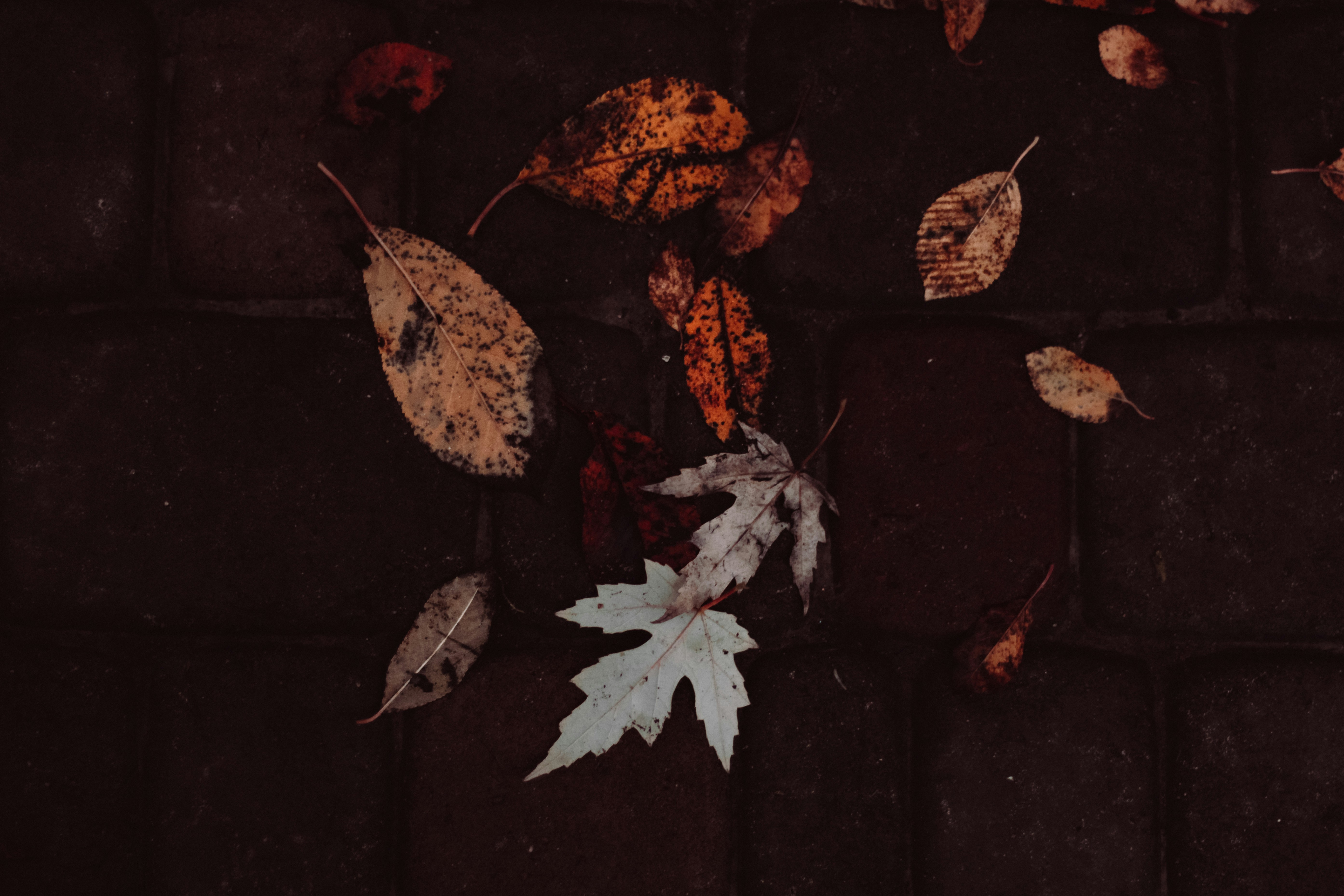 Photo by mineral_of_demon