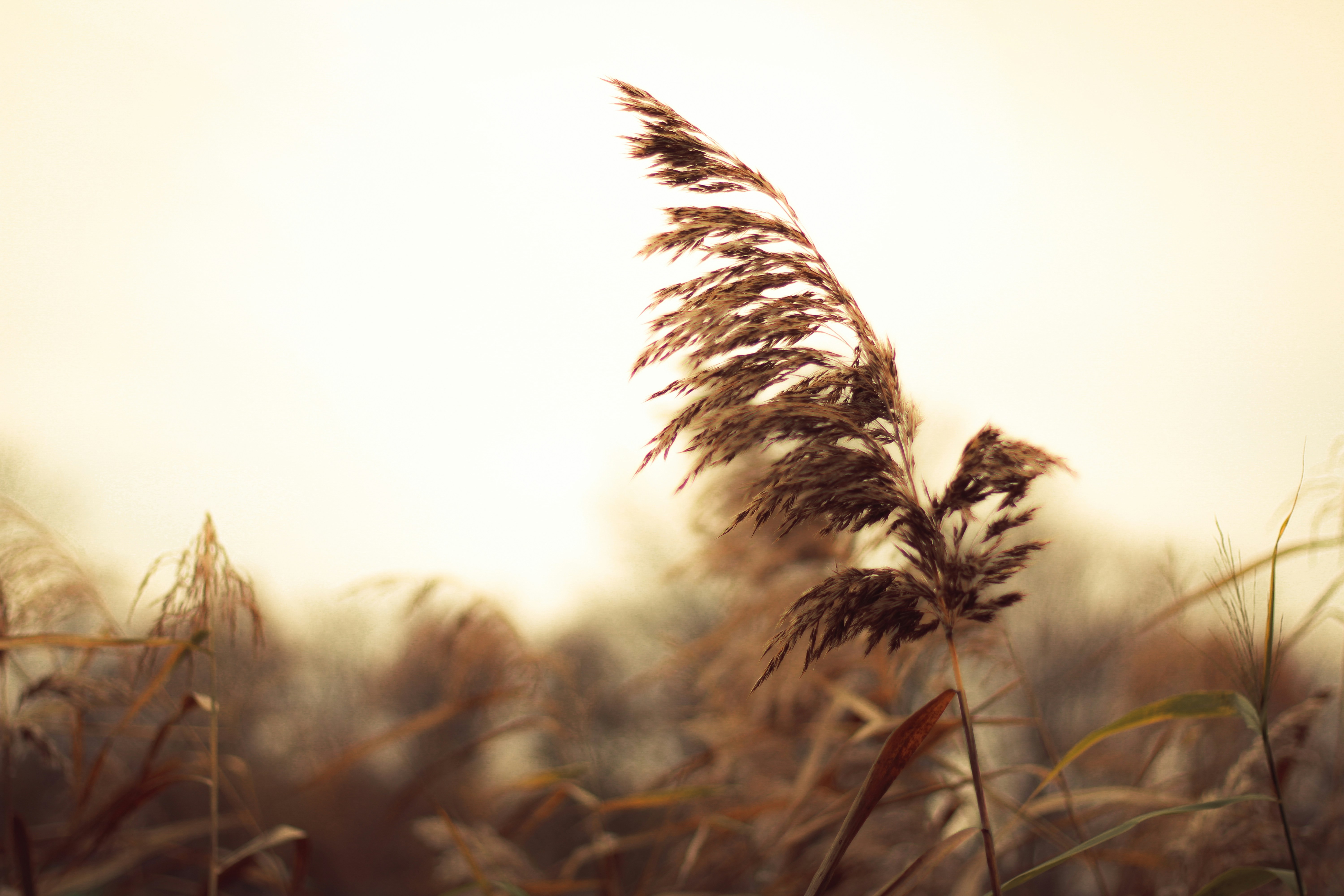 Photo by mineral_of_demon