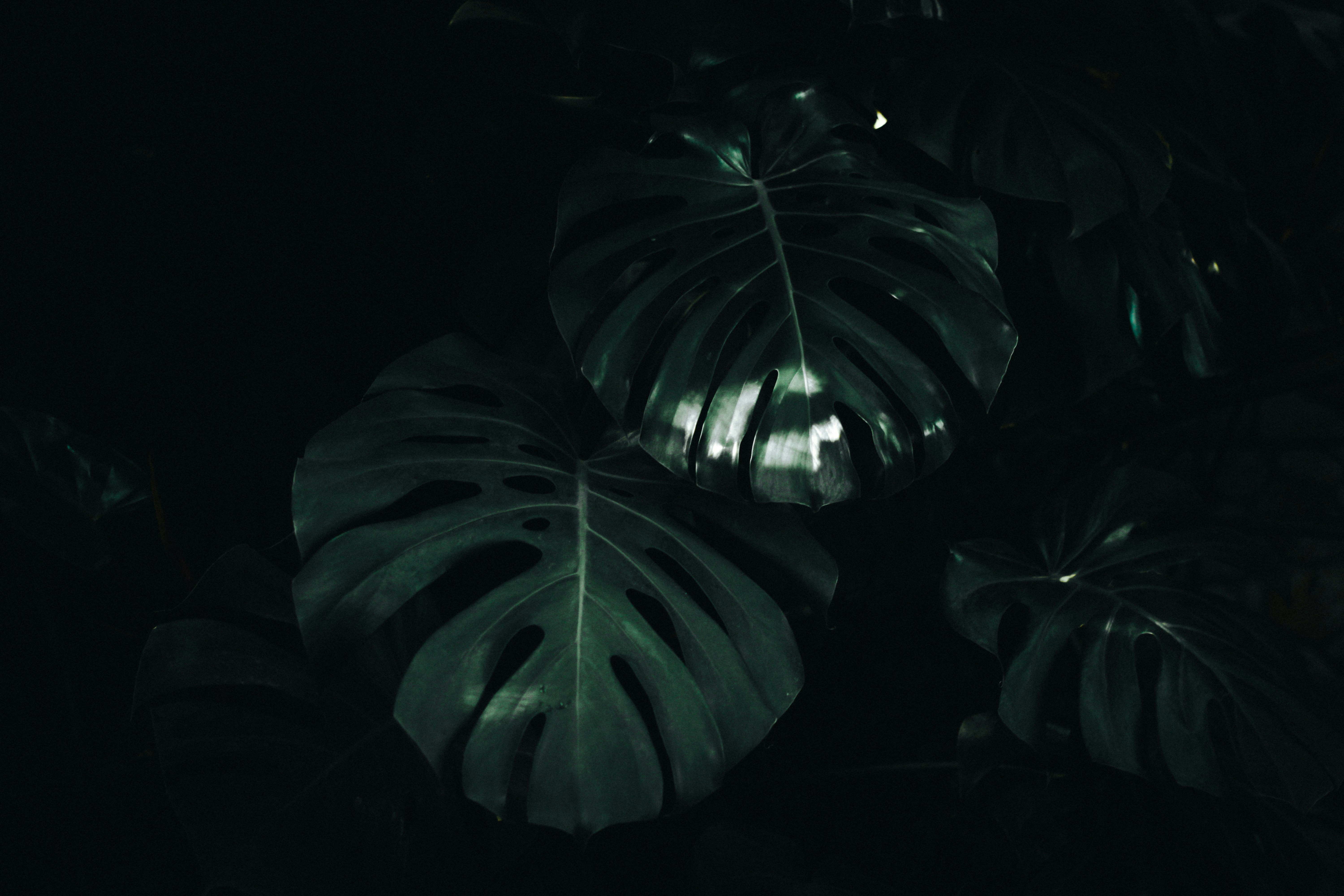 Photo by mineral_of_demon