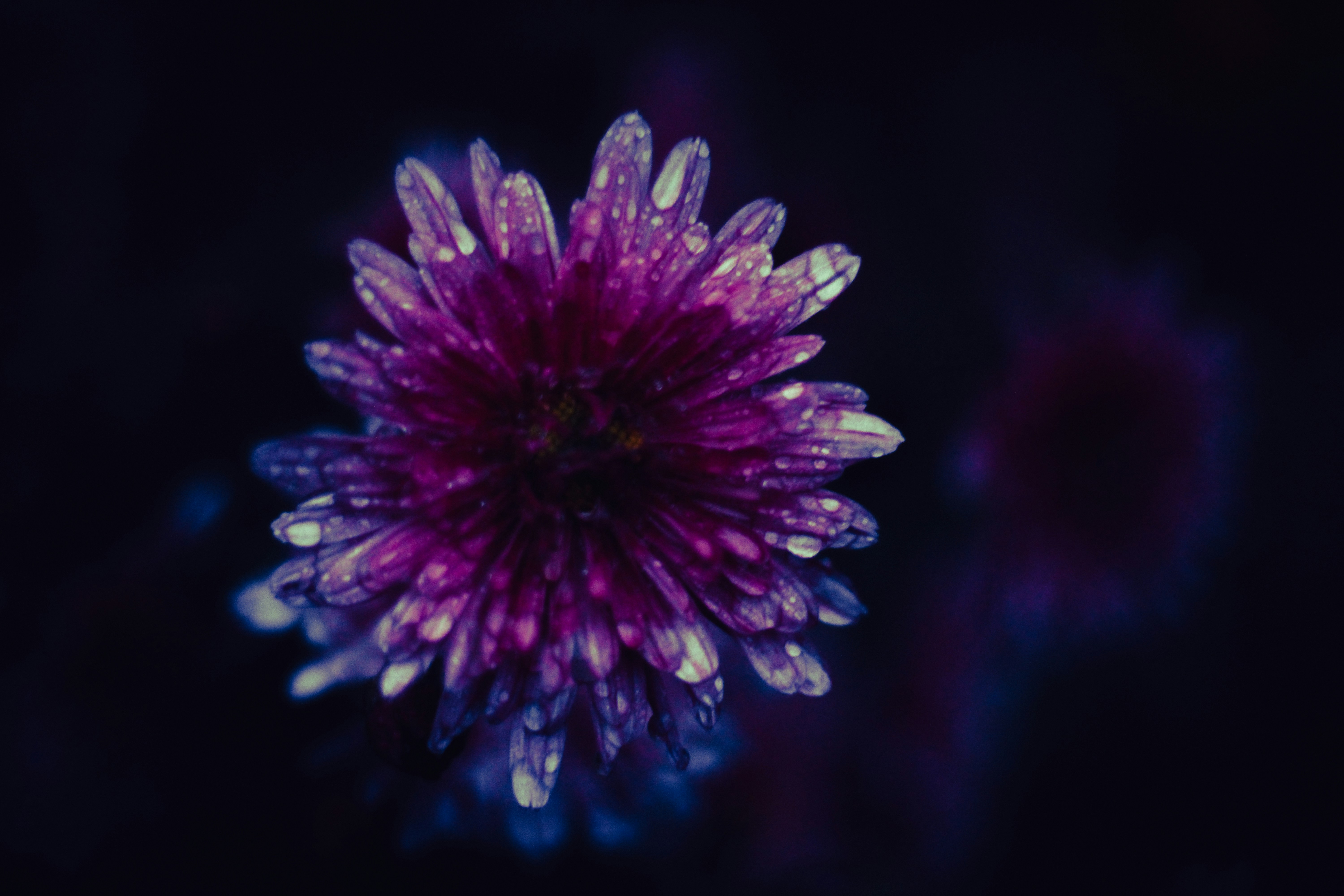 Photo by mineral_of_demon