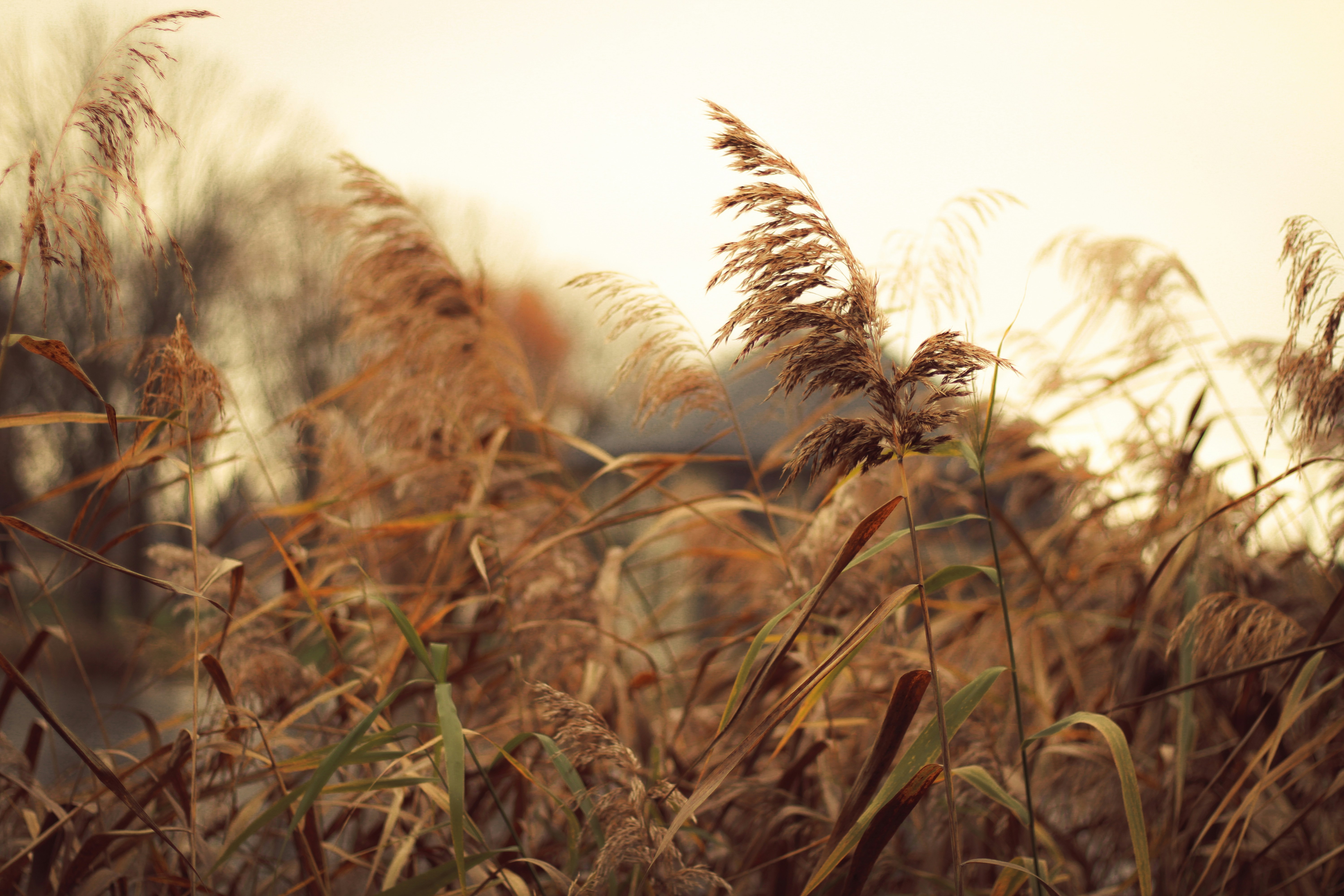 Photo by mineral_of_demon