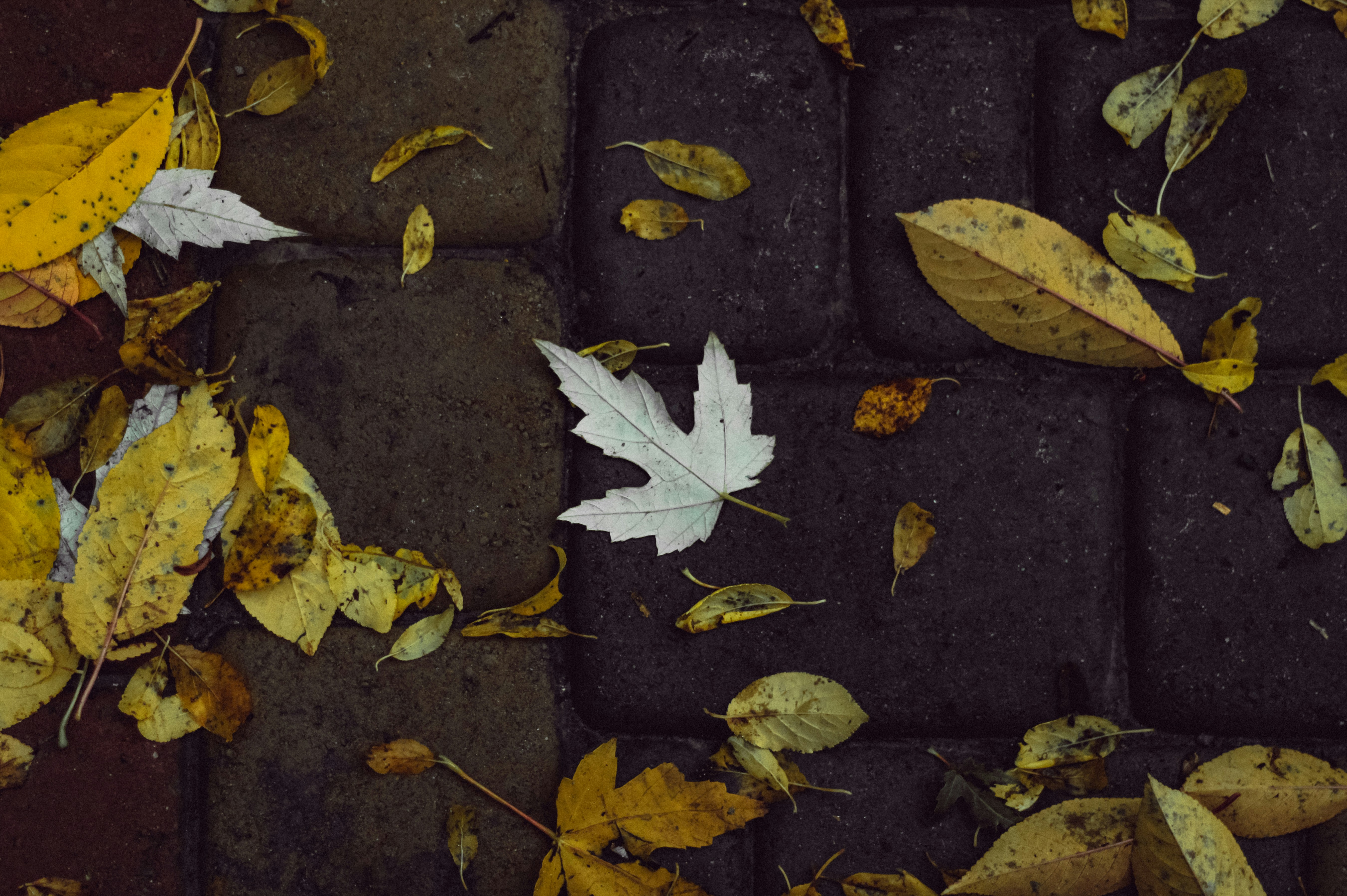 Photo by mineral_of_demon