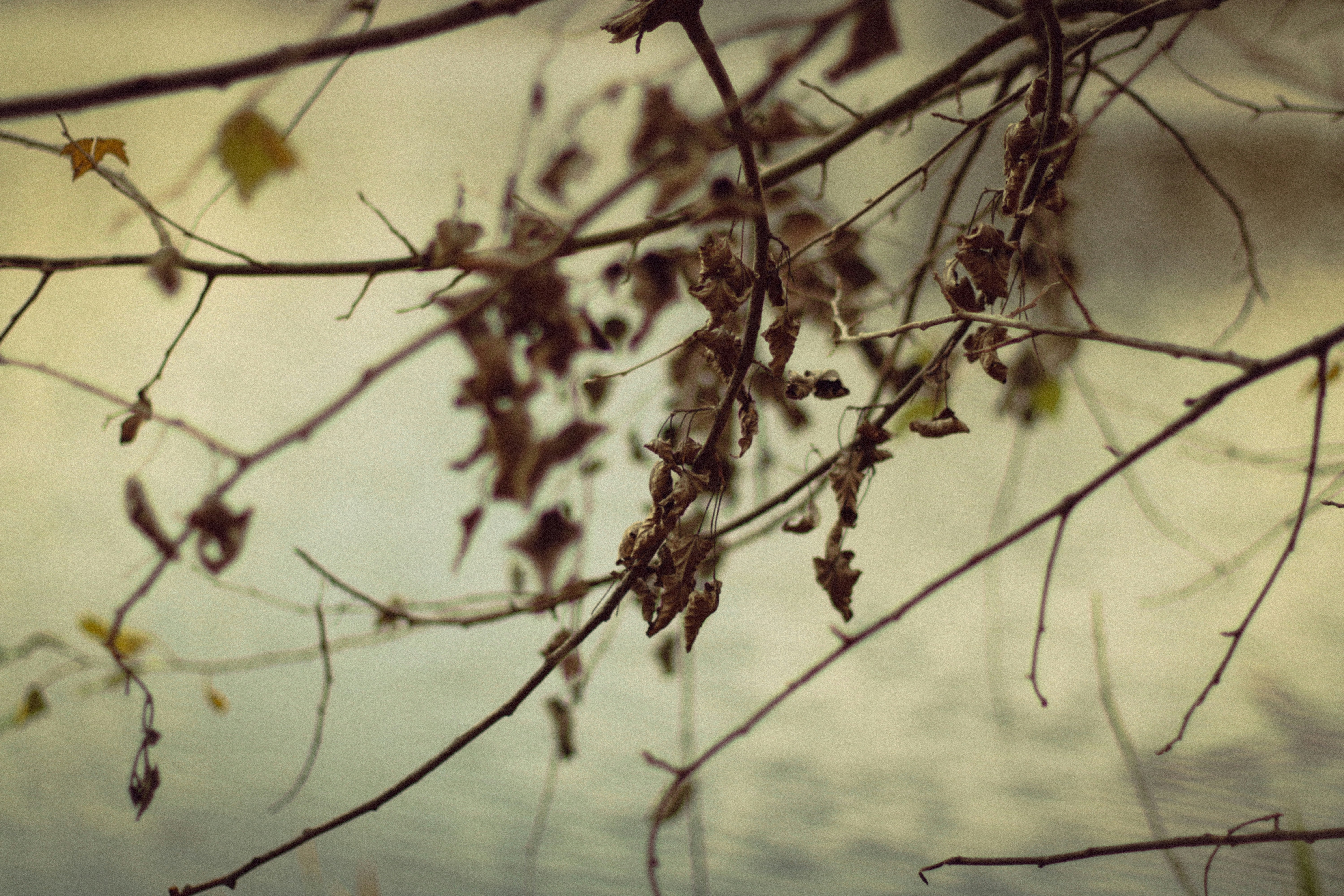 Photo by mineral_of_demon