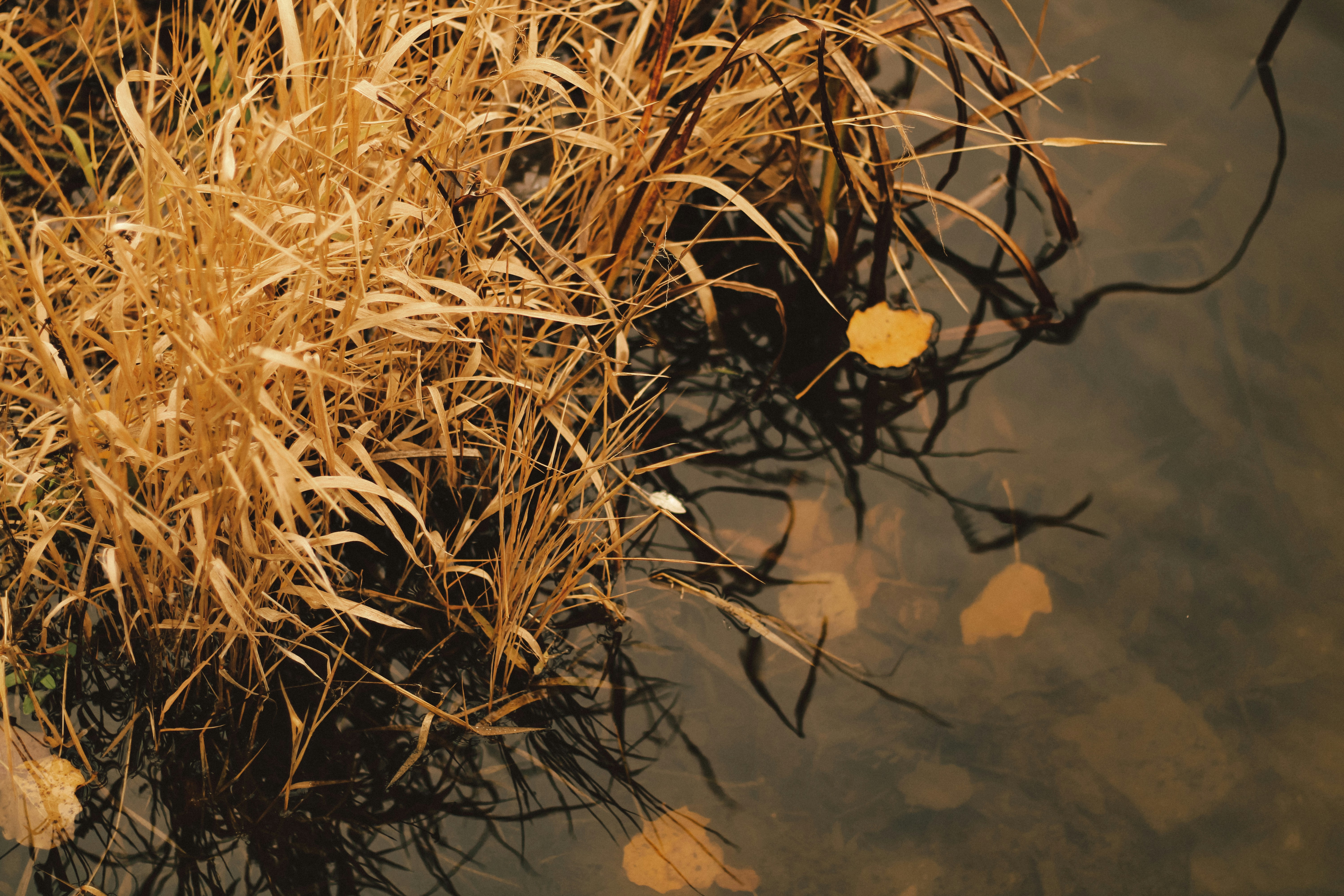 Photo by mineral_of_demon