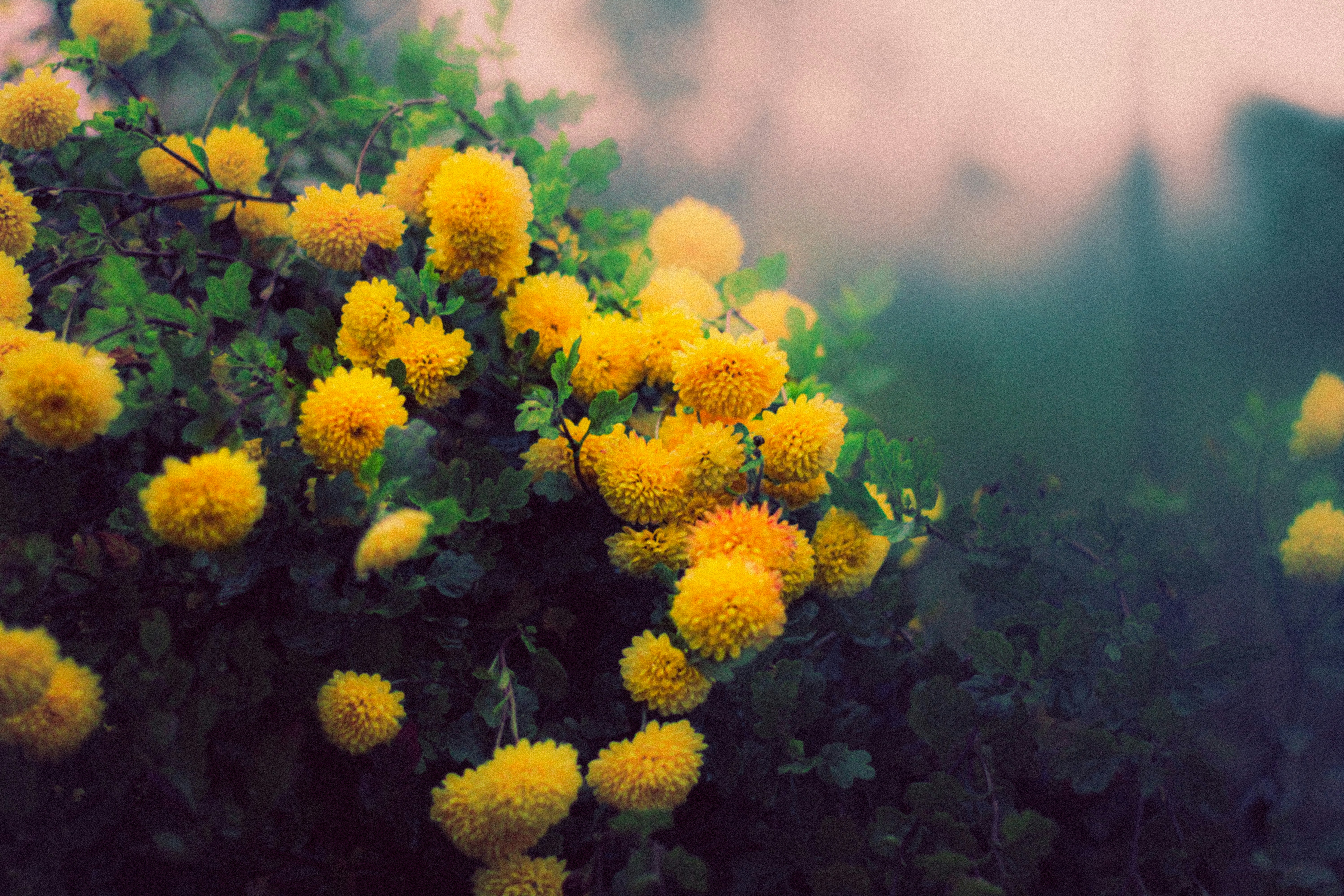 Photo by mineral_of_demon