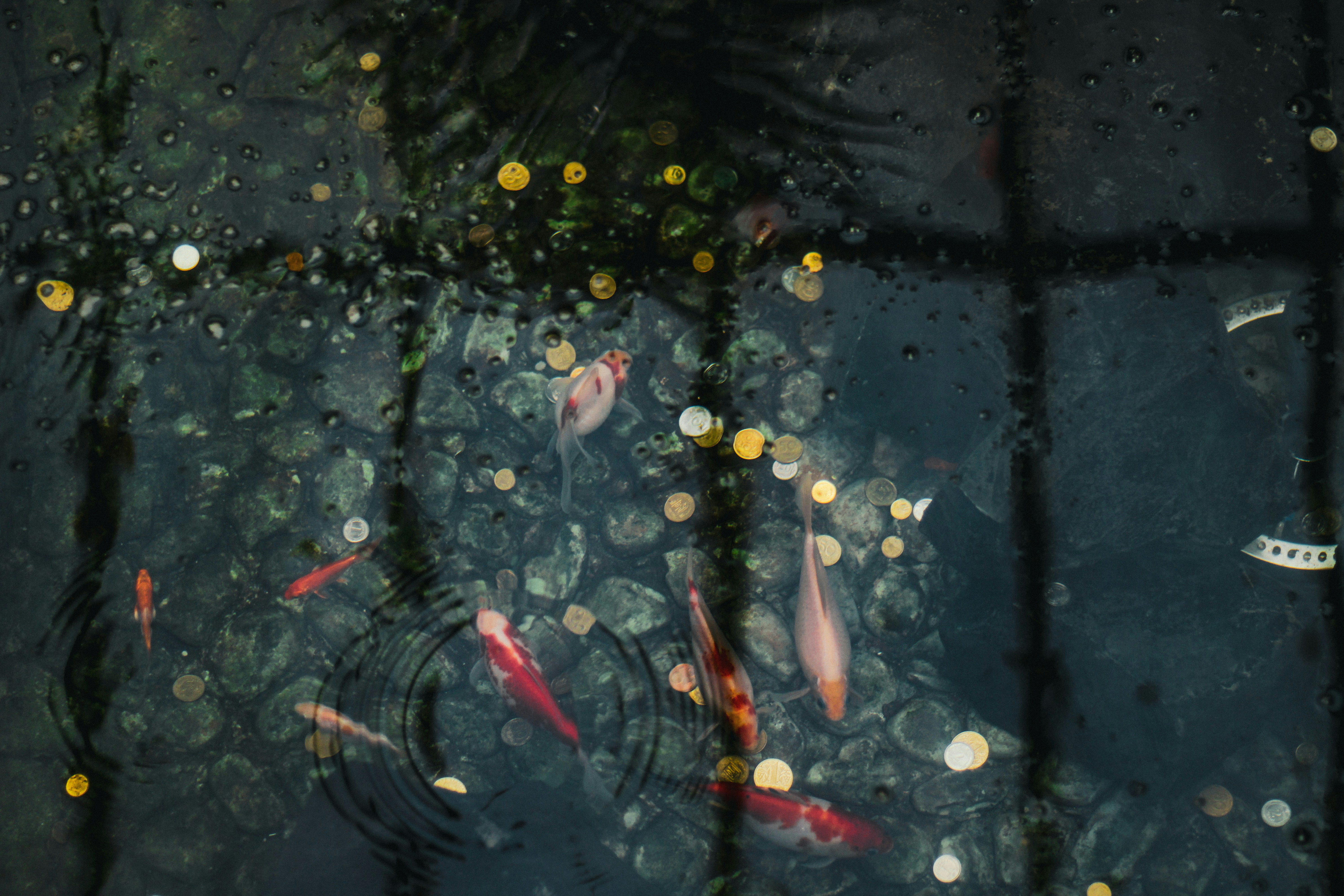 Photo by mineral_of_demon