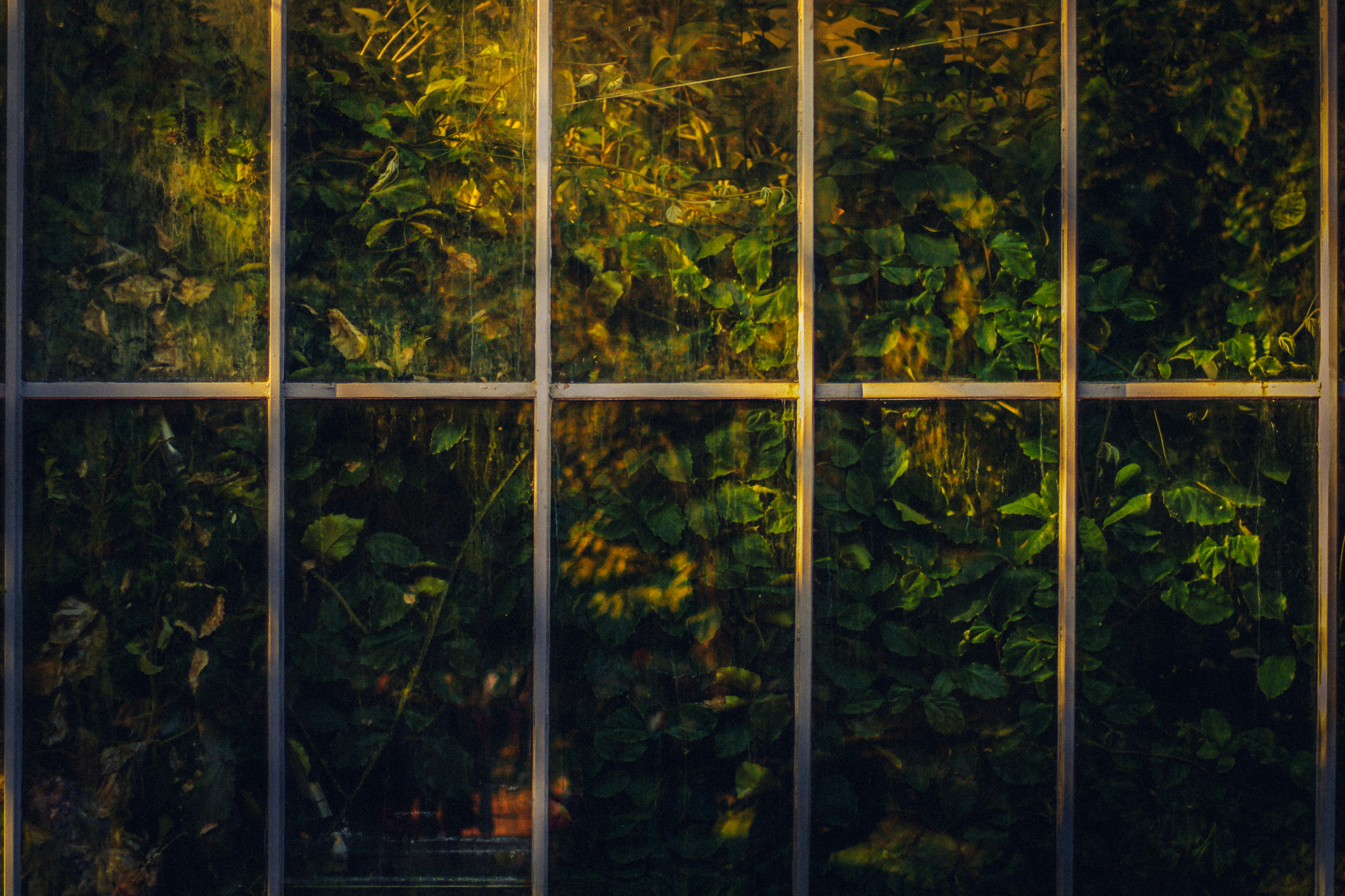 Photo by mineral_of_demon