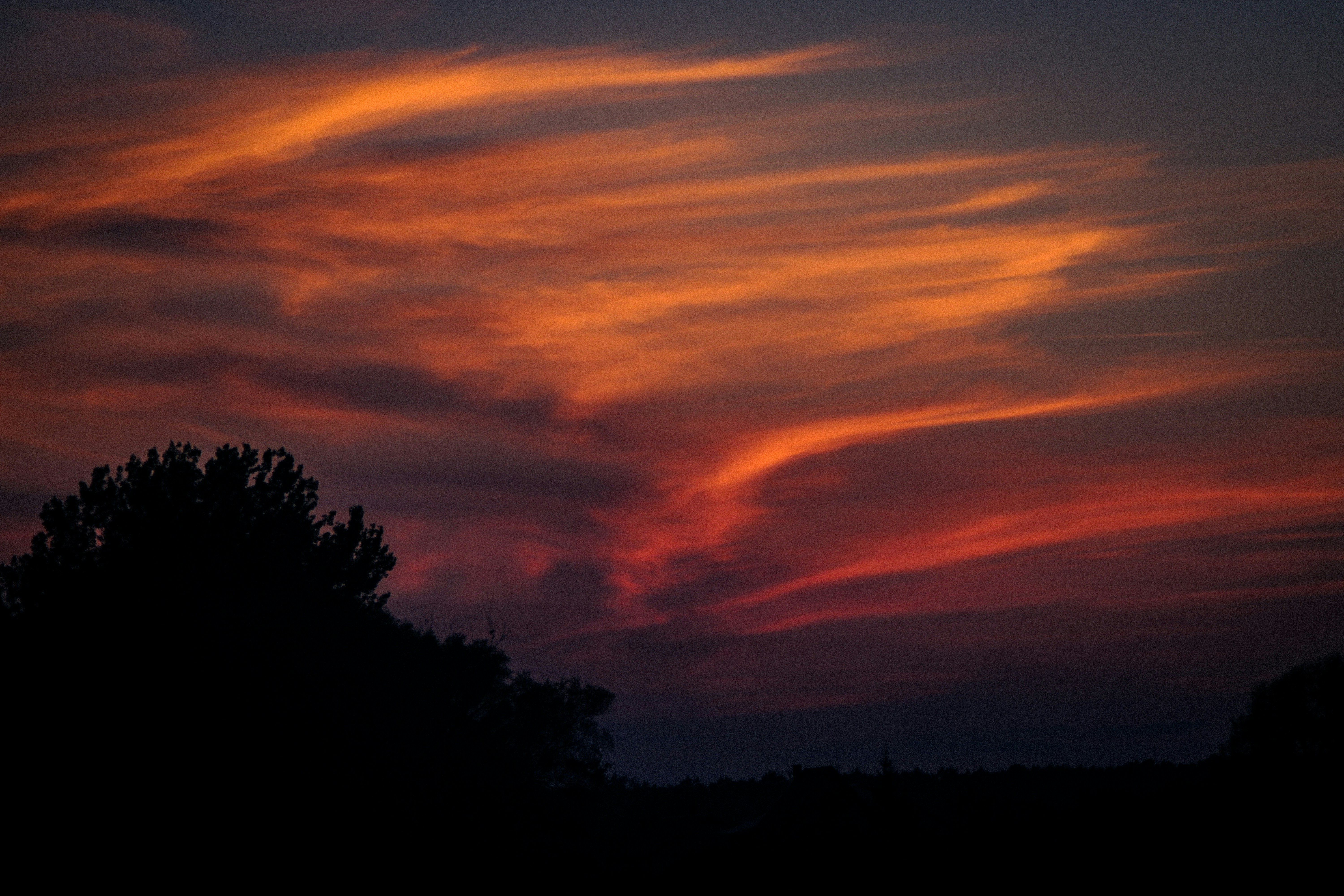 Photo by mineral_of_demon