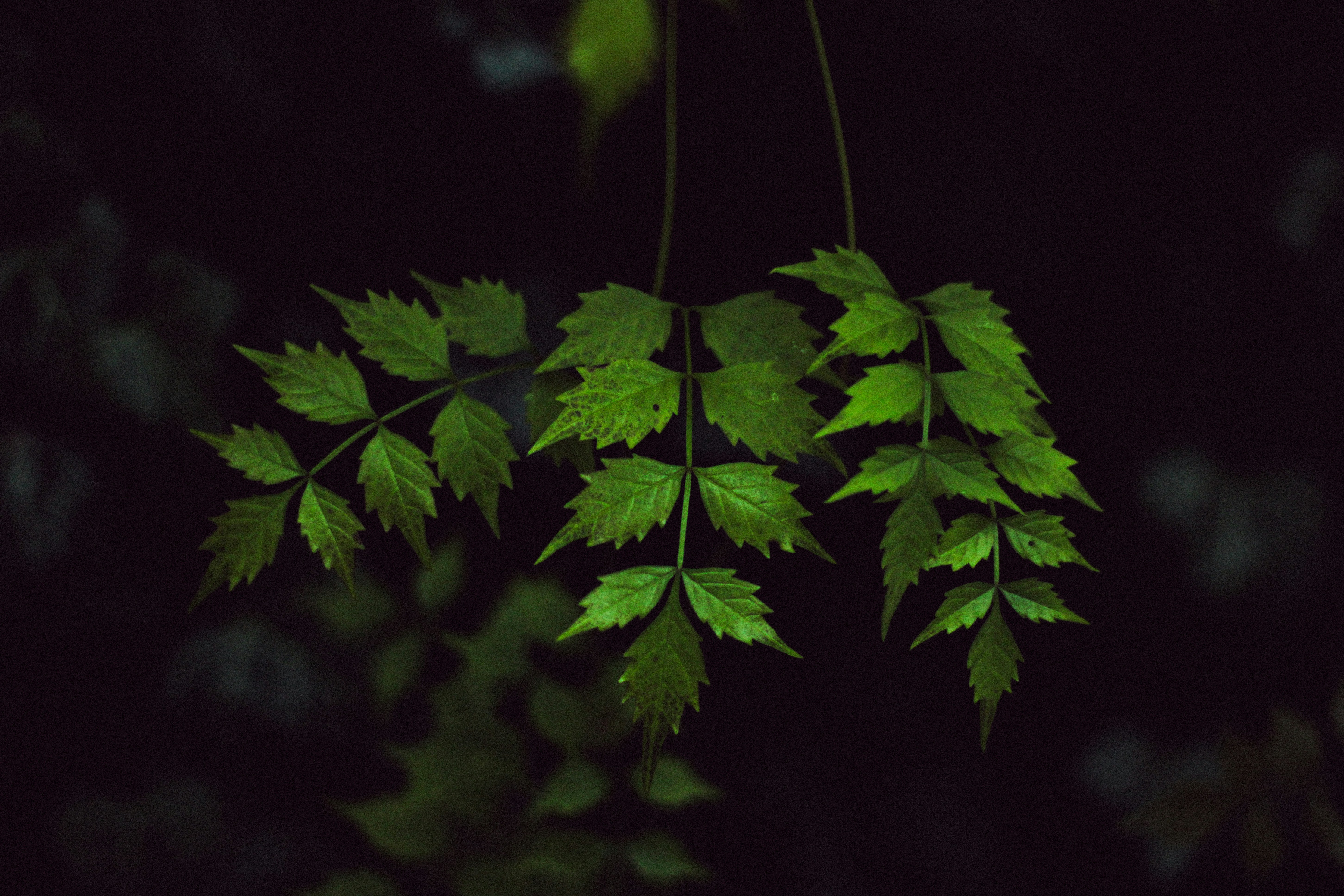 Photo by mineral_of_demon