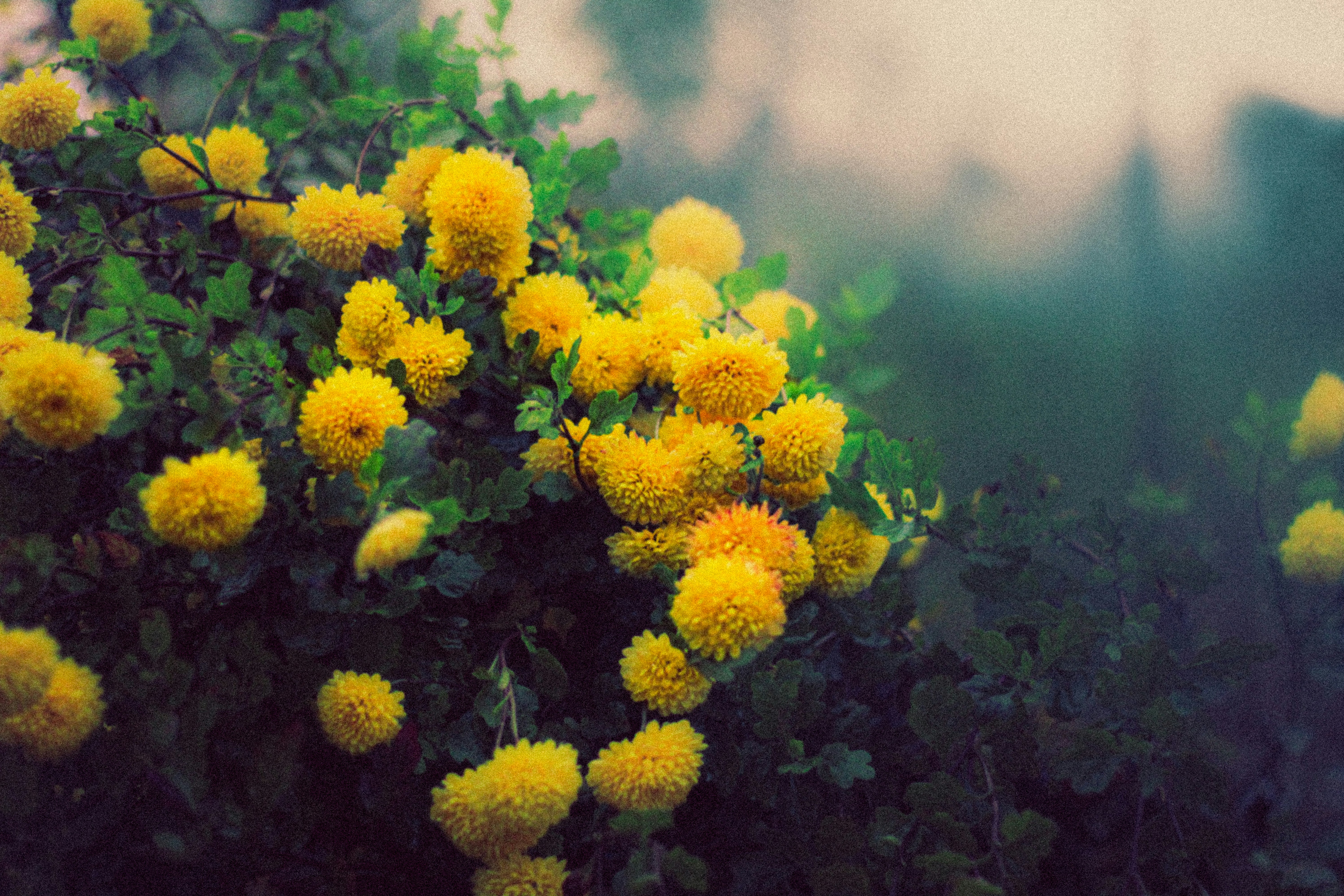 Photo by mineral_of_demon