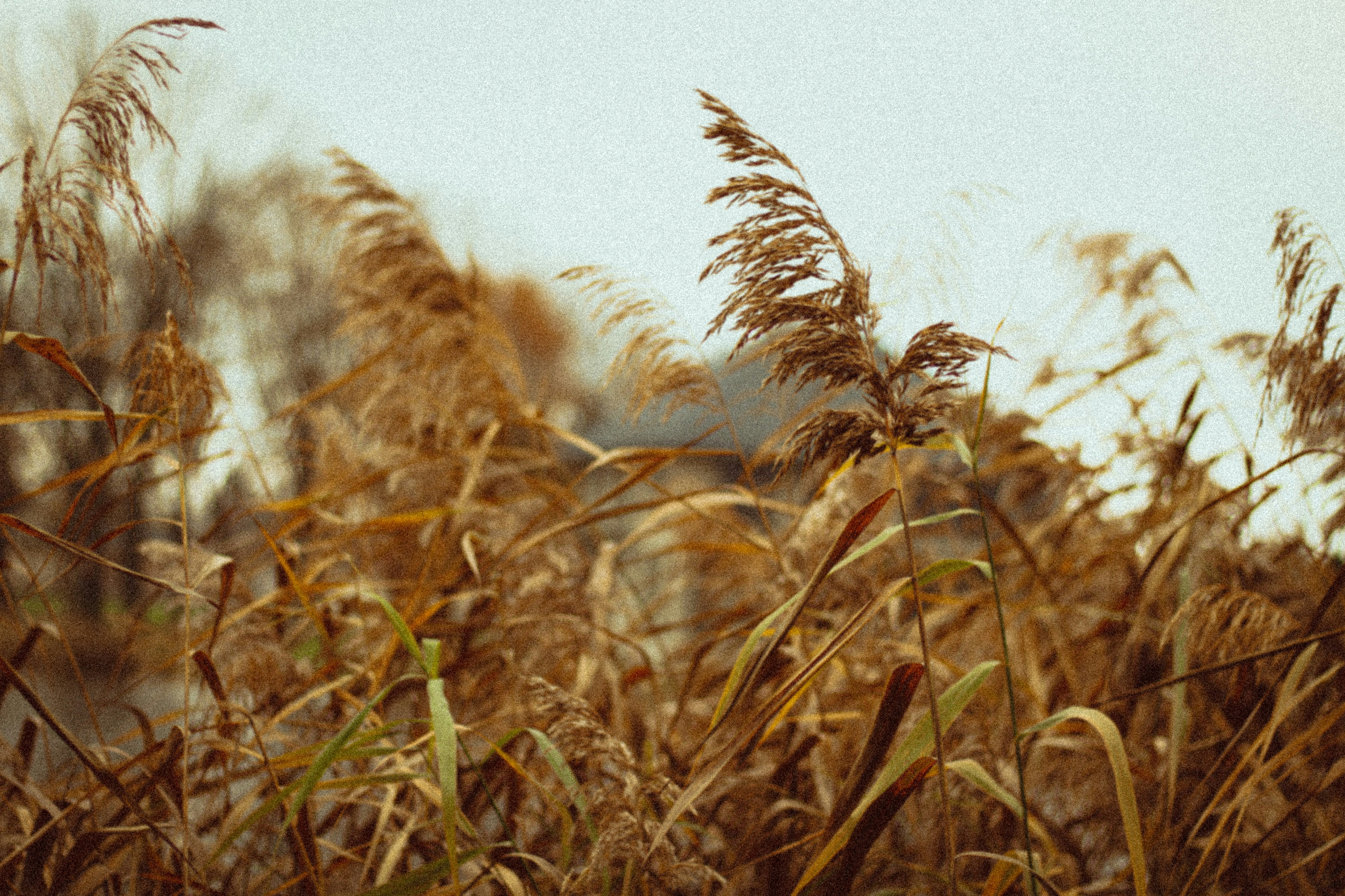 Photo by mineral_of_demon