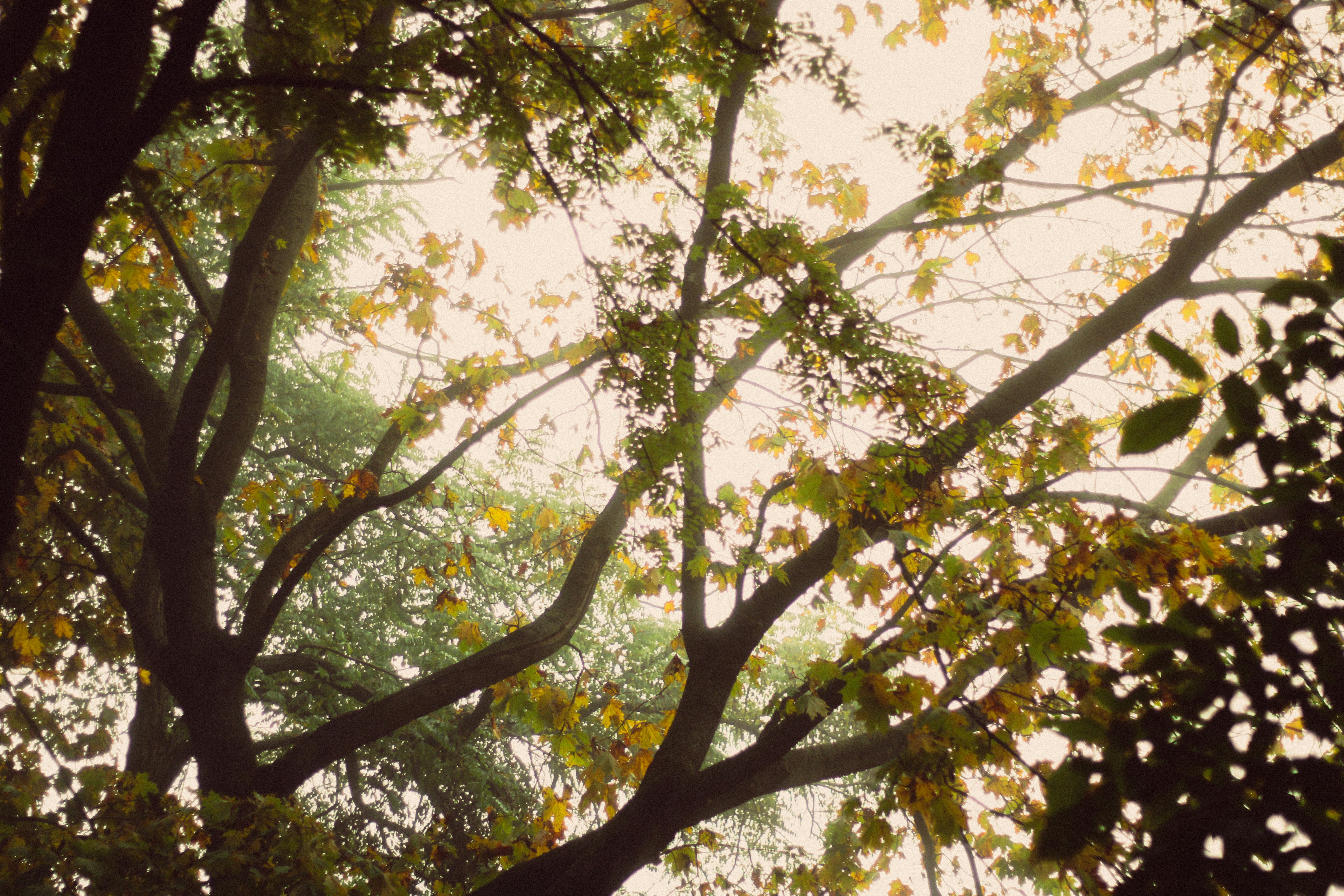 Photo by mineral_of_demon