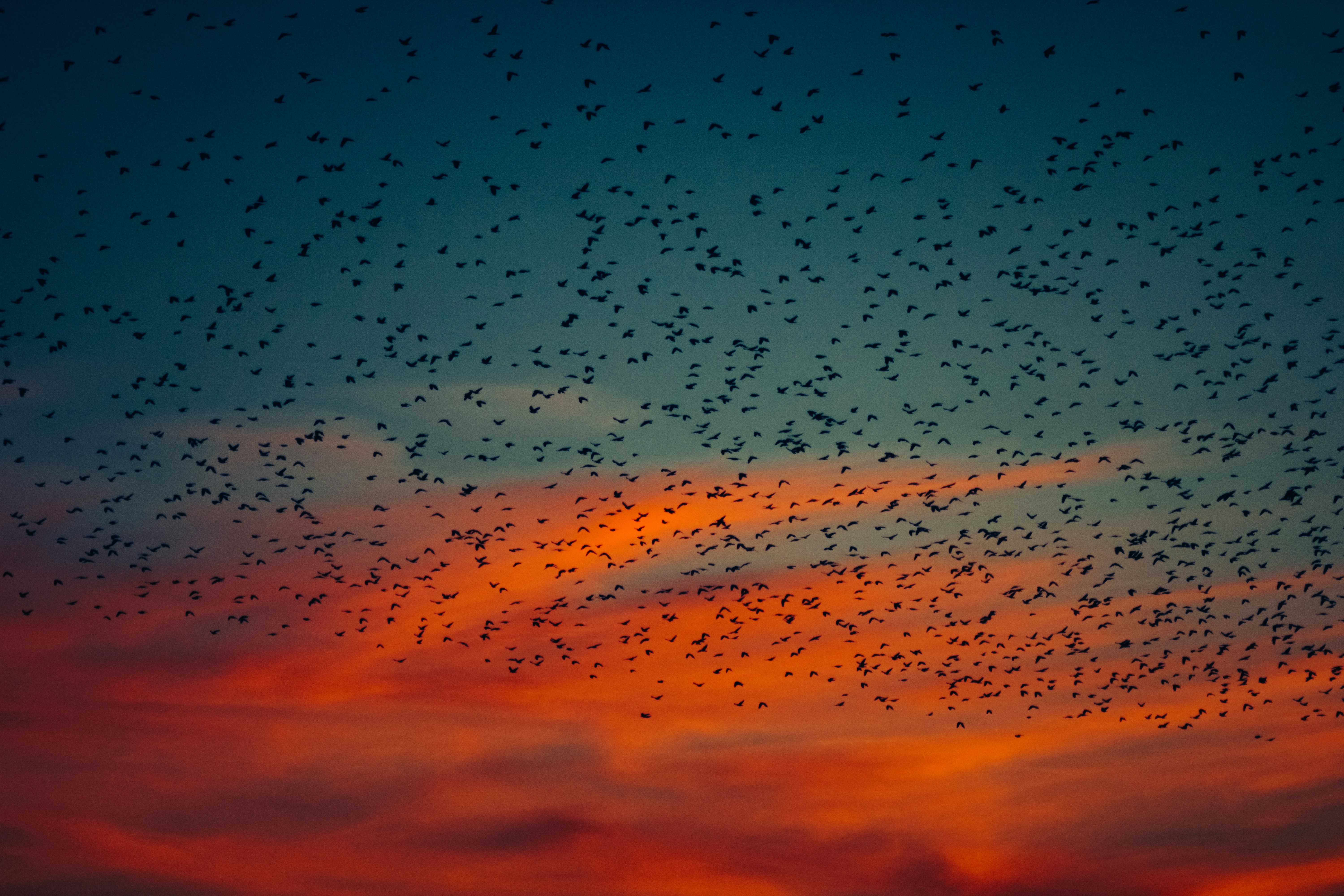 Photo by mineral_of_demon