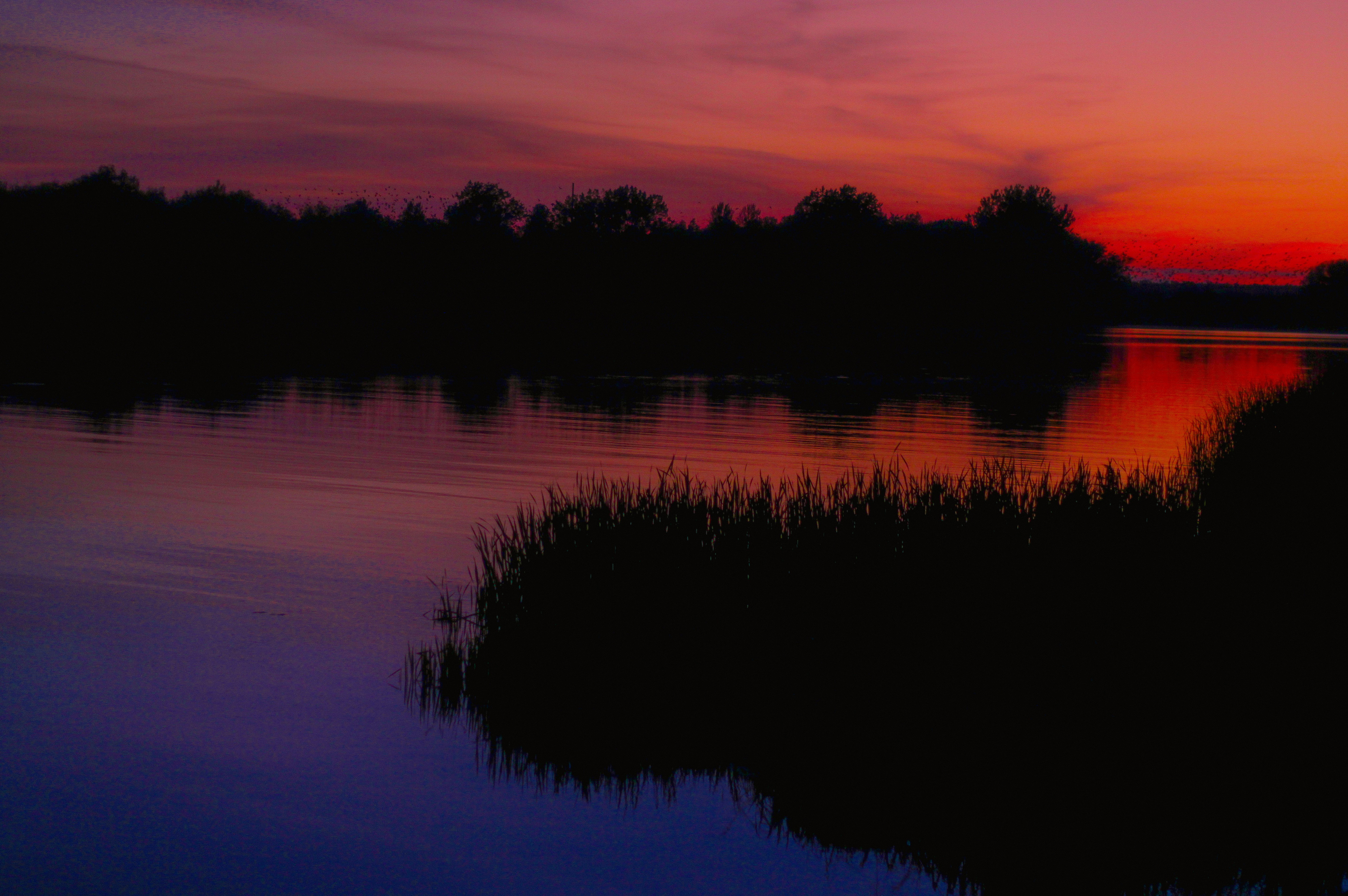 Photo by mineral_of_demon