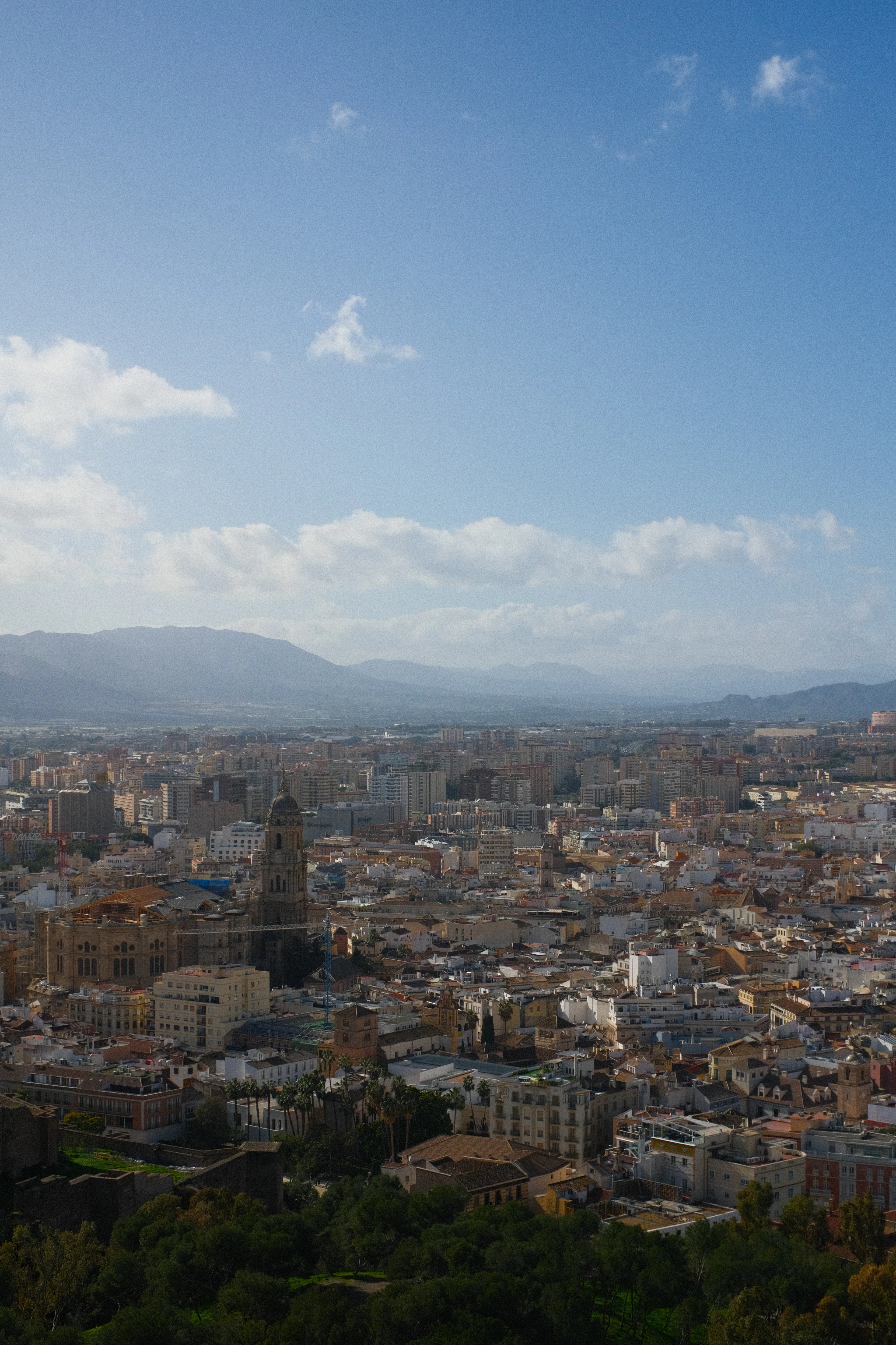 Malaga spread out below the Gibralfaro, the single tower of the cathedral rising from the old town with the mountains beyond
