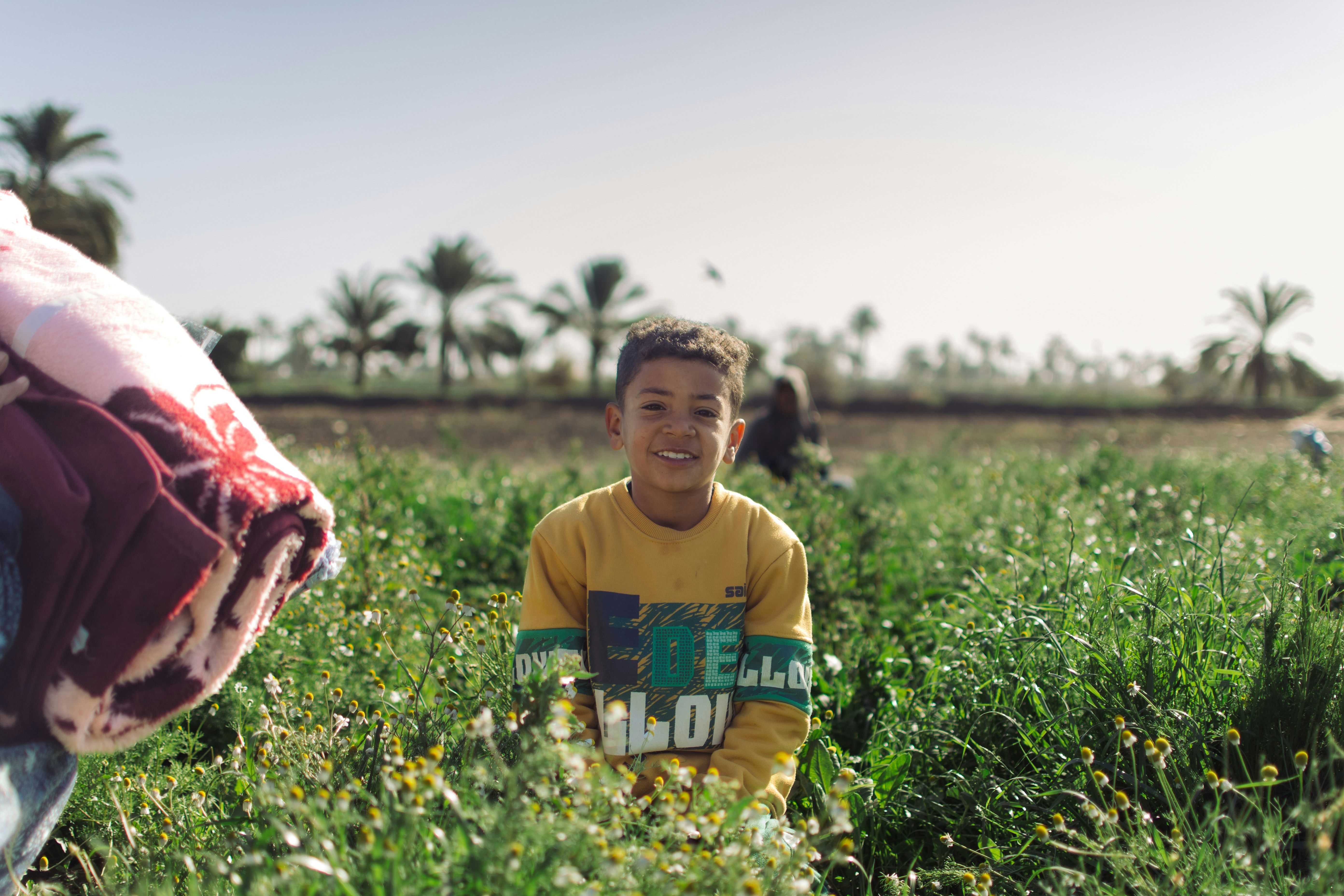 농촌유학 운영실태 및 활성화방안