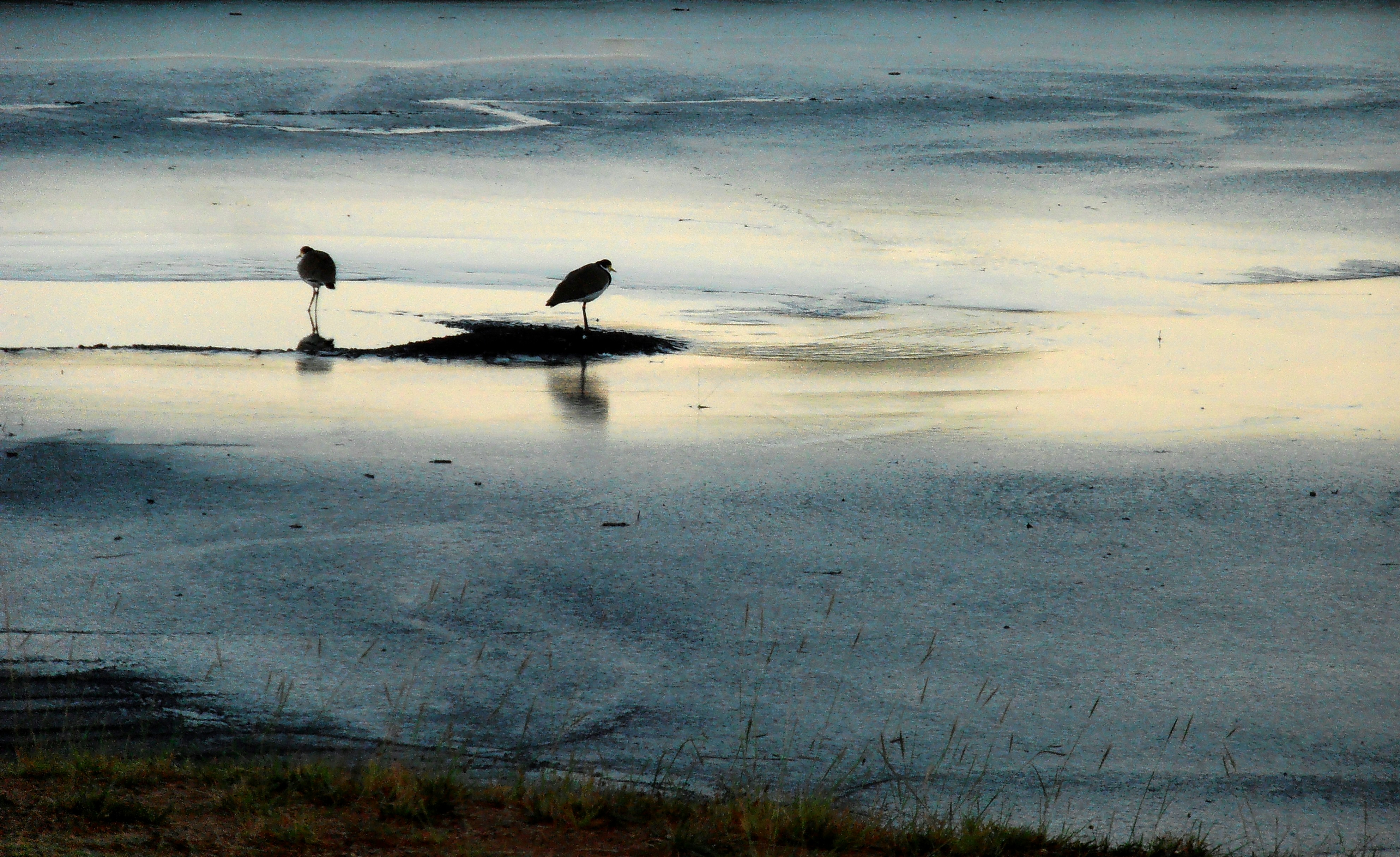 Photo by lakelandimages