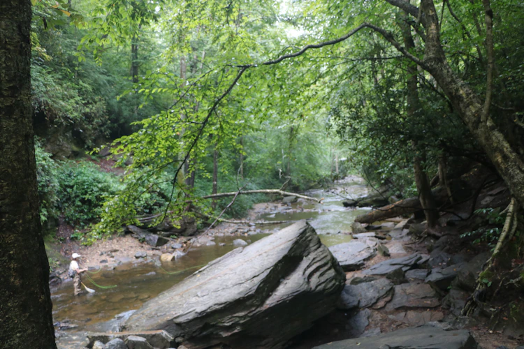 fisherman on a rocky mountain stream