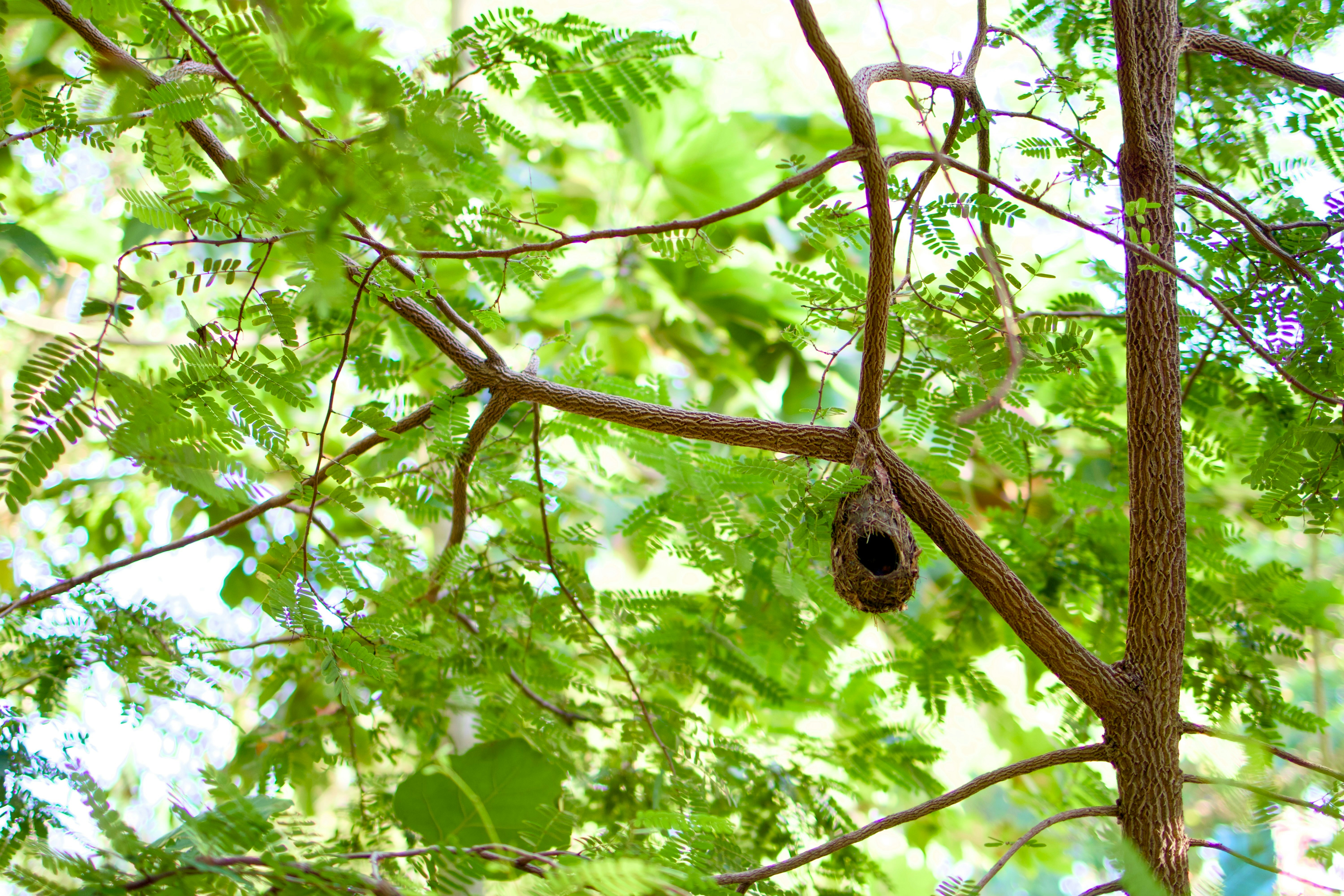 Photo by codybeaudoin