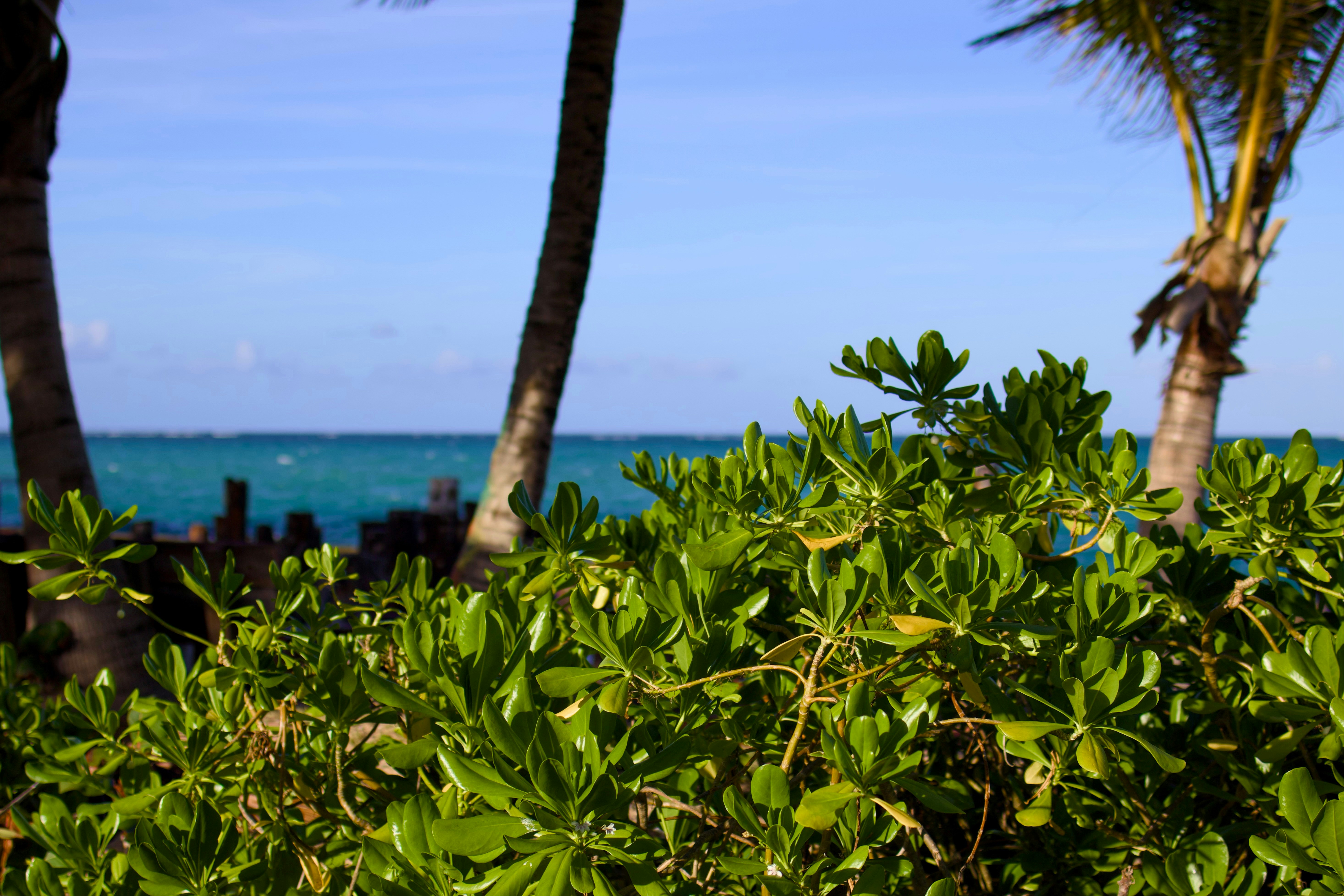 Photo by codybeaudoin