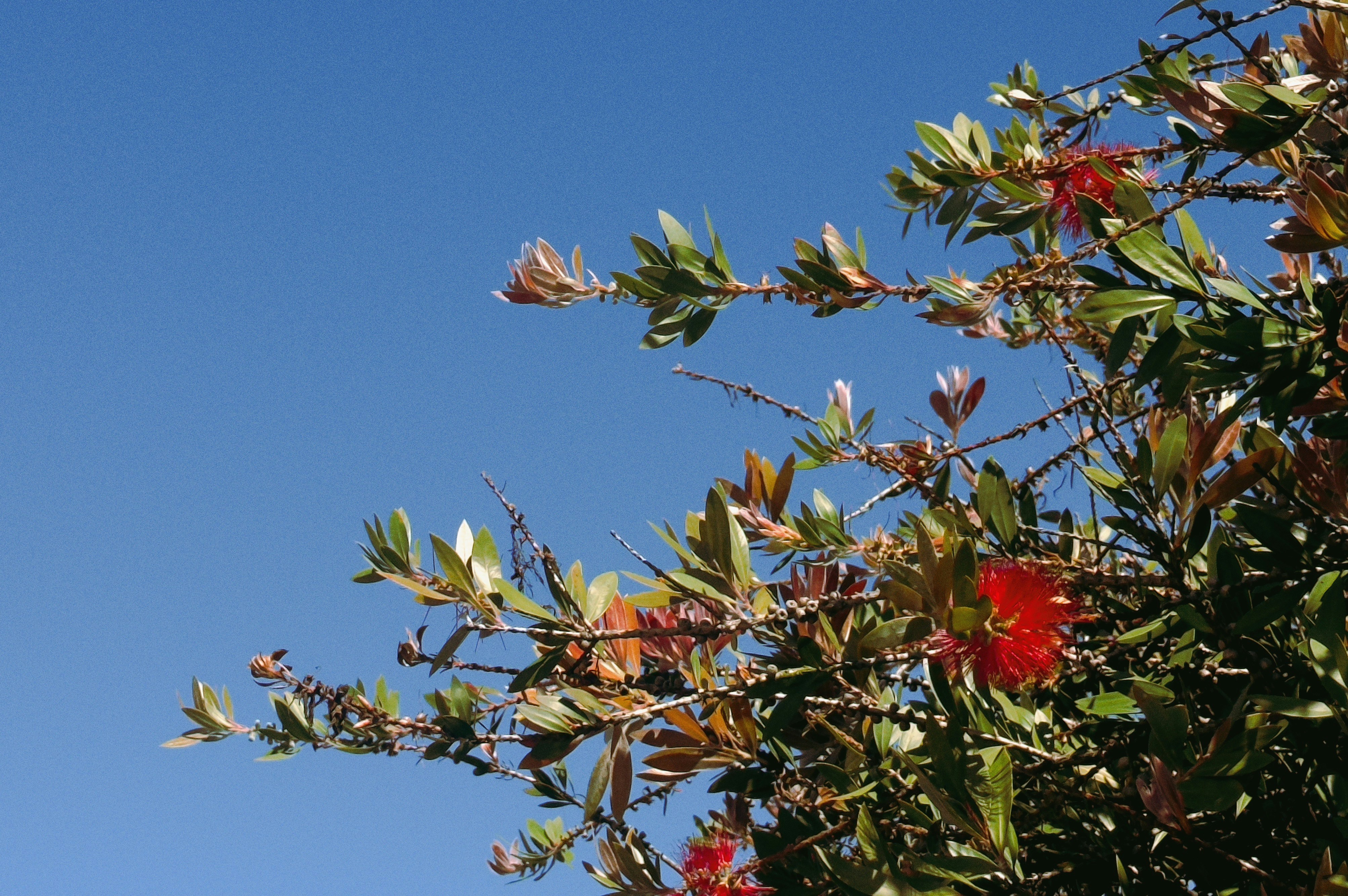 Photo by airguitarbandit