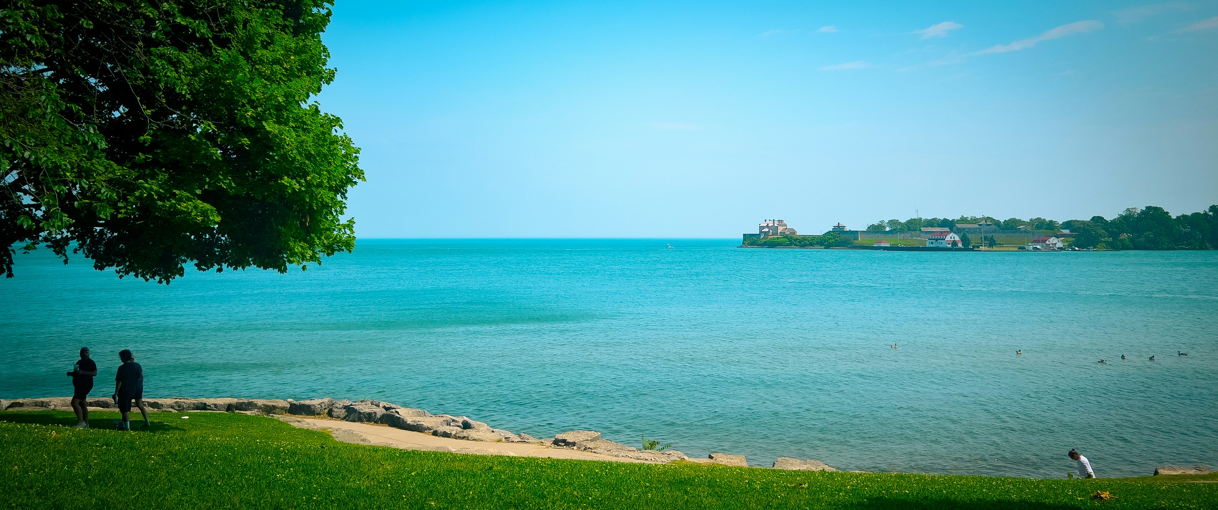 Two people stand by a lake under a large tree.