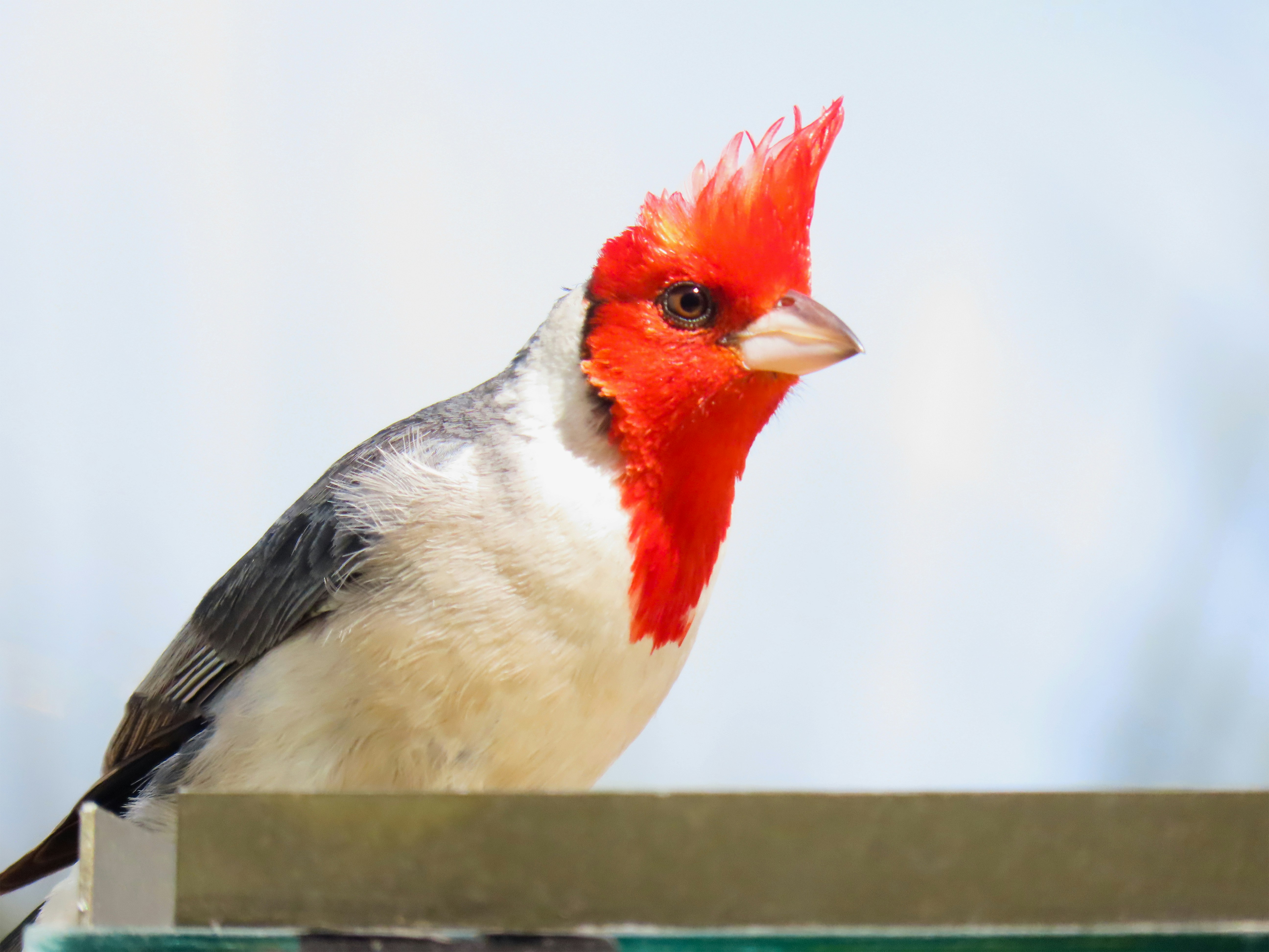 Photo by patricianicoloso