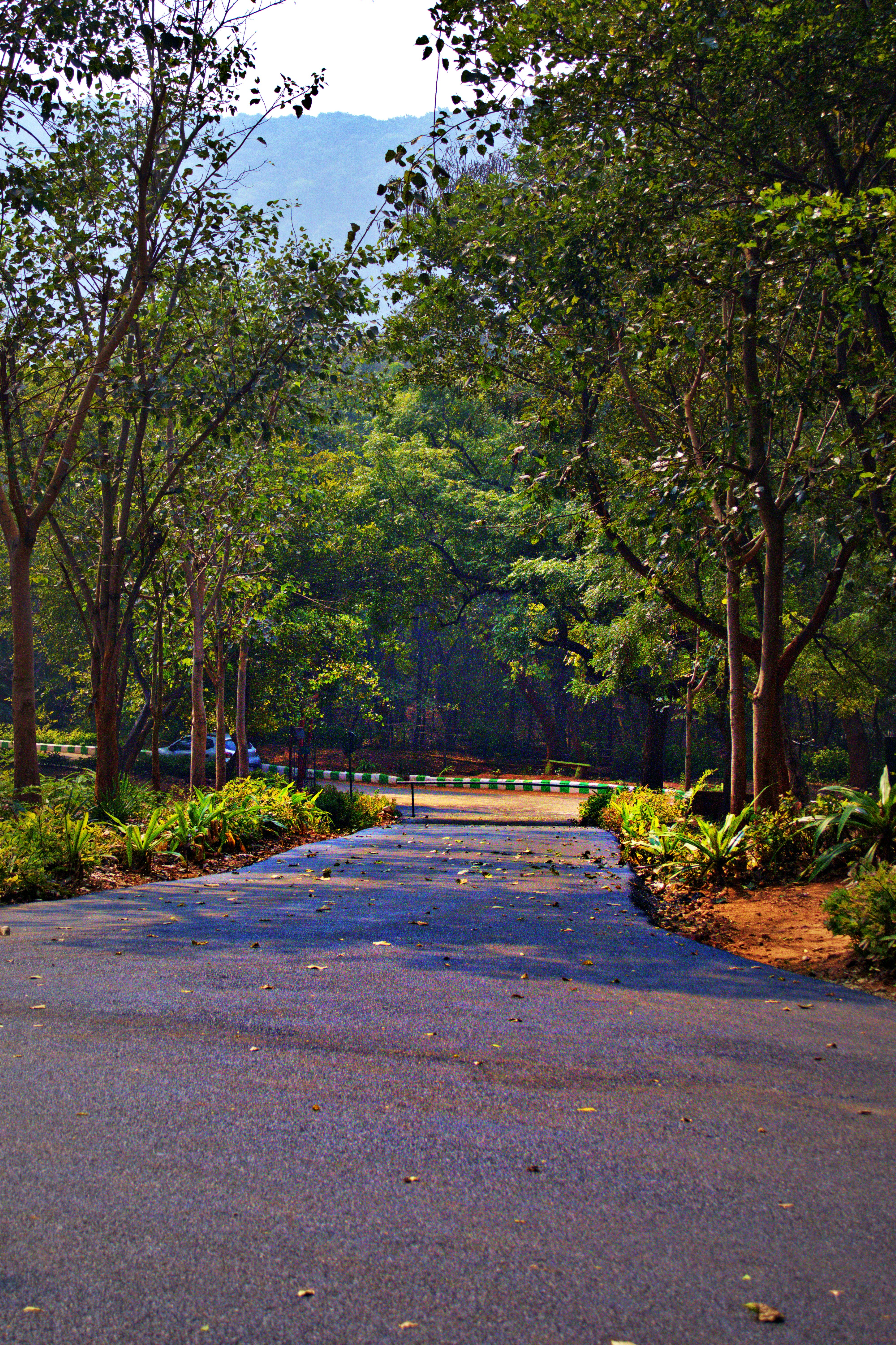 Photo by legacy_lenscraft