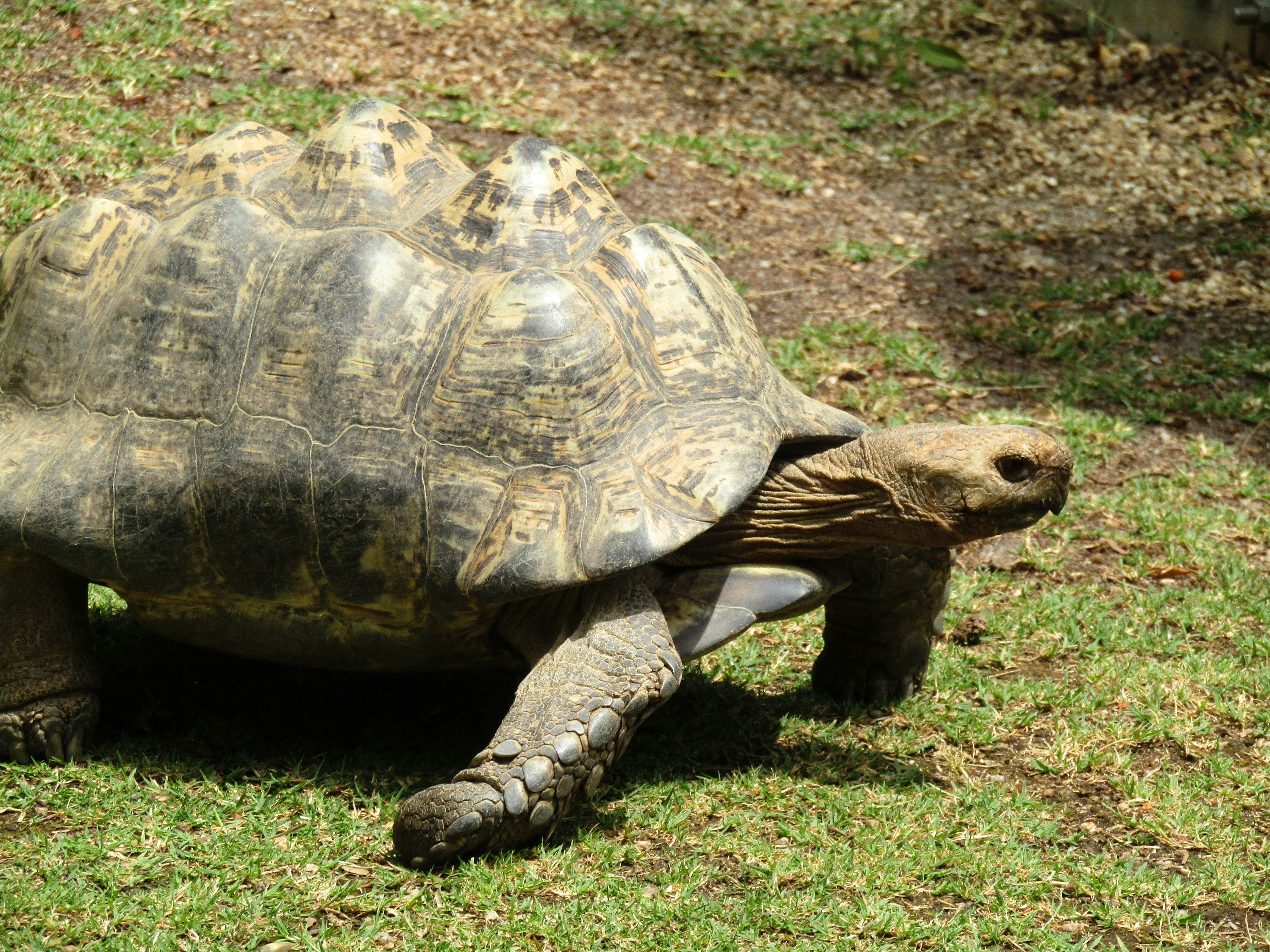 Photo by katiealexandra