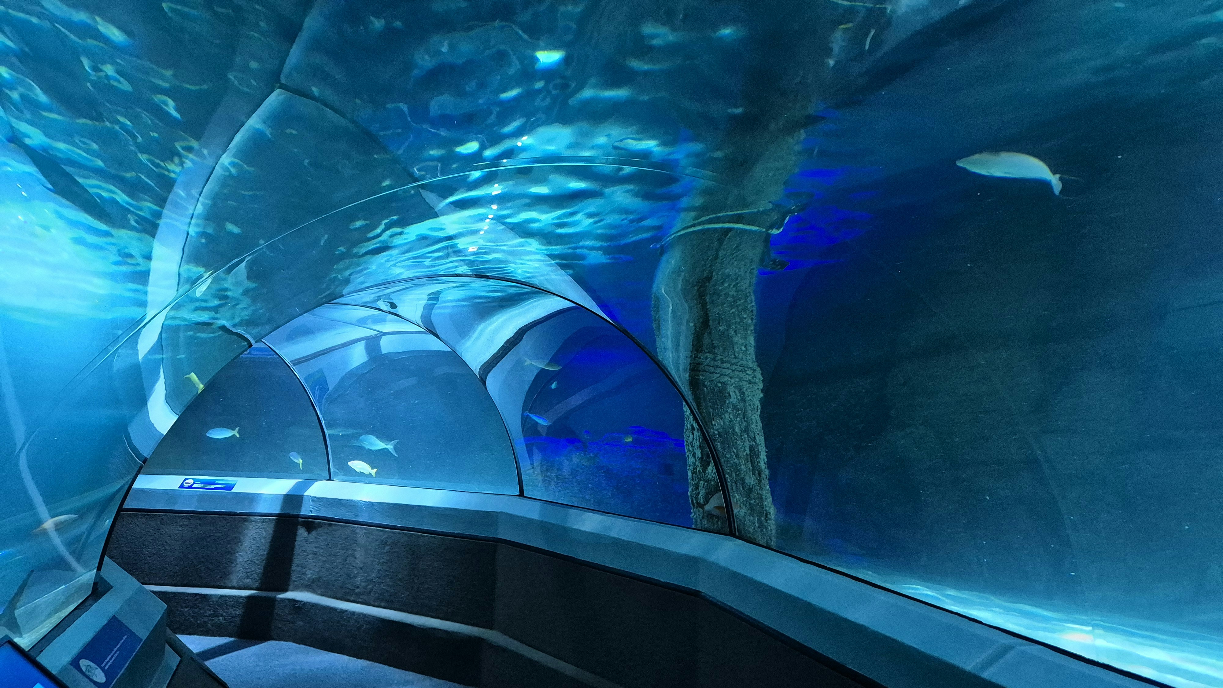 underwater tunnel wallpaper, wallpaper, Underwater Tunnel: Exploring Submerged Roadways 1