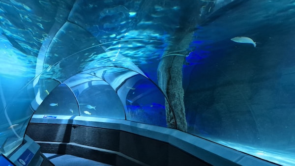 Barcelona Aquarium — Port Vell