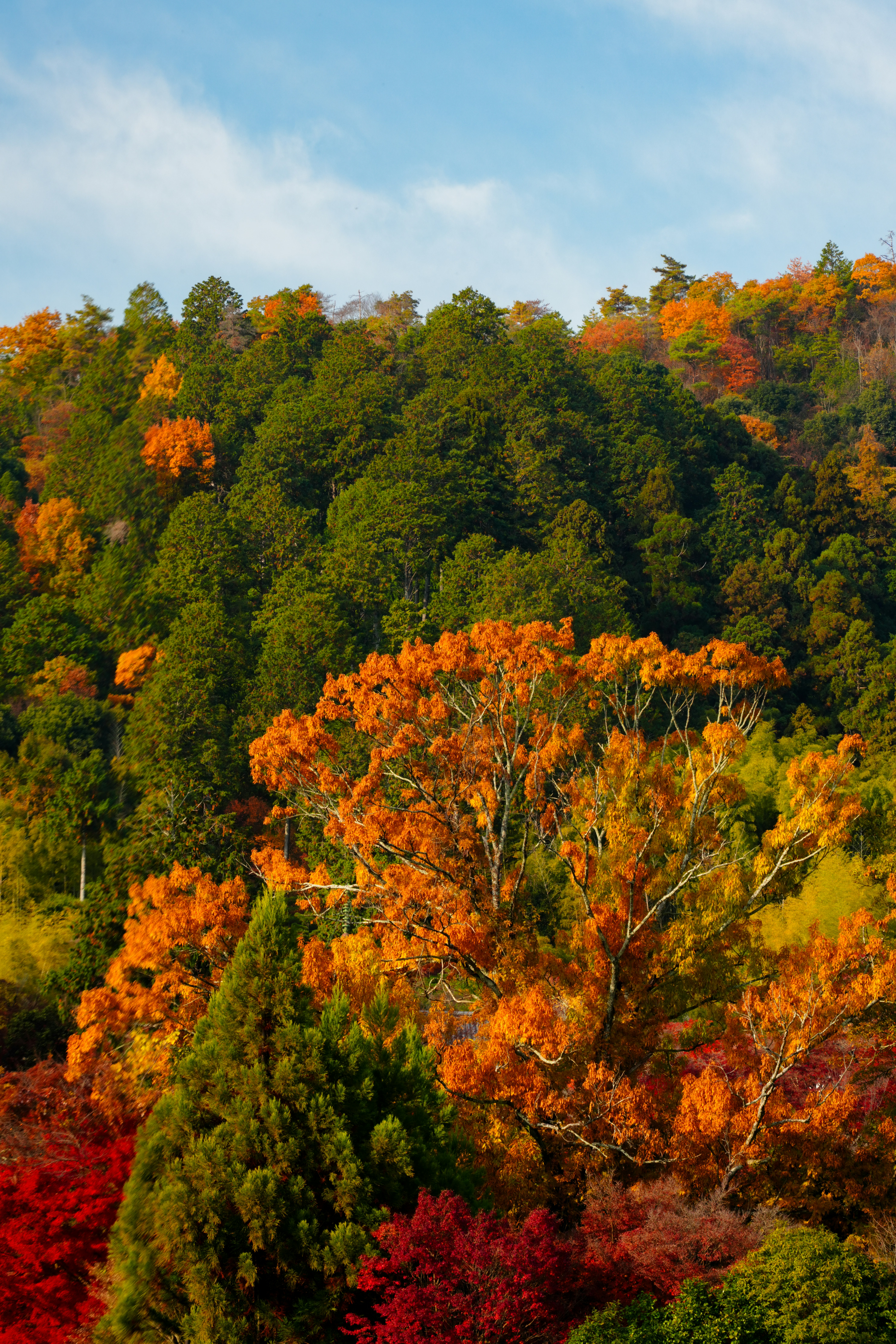 Photo by hattrick1996