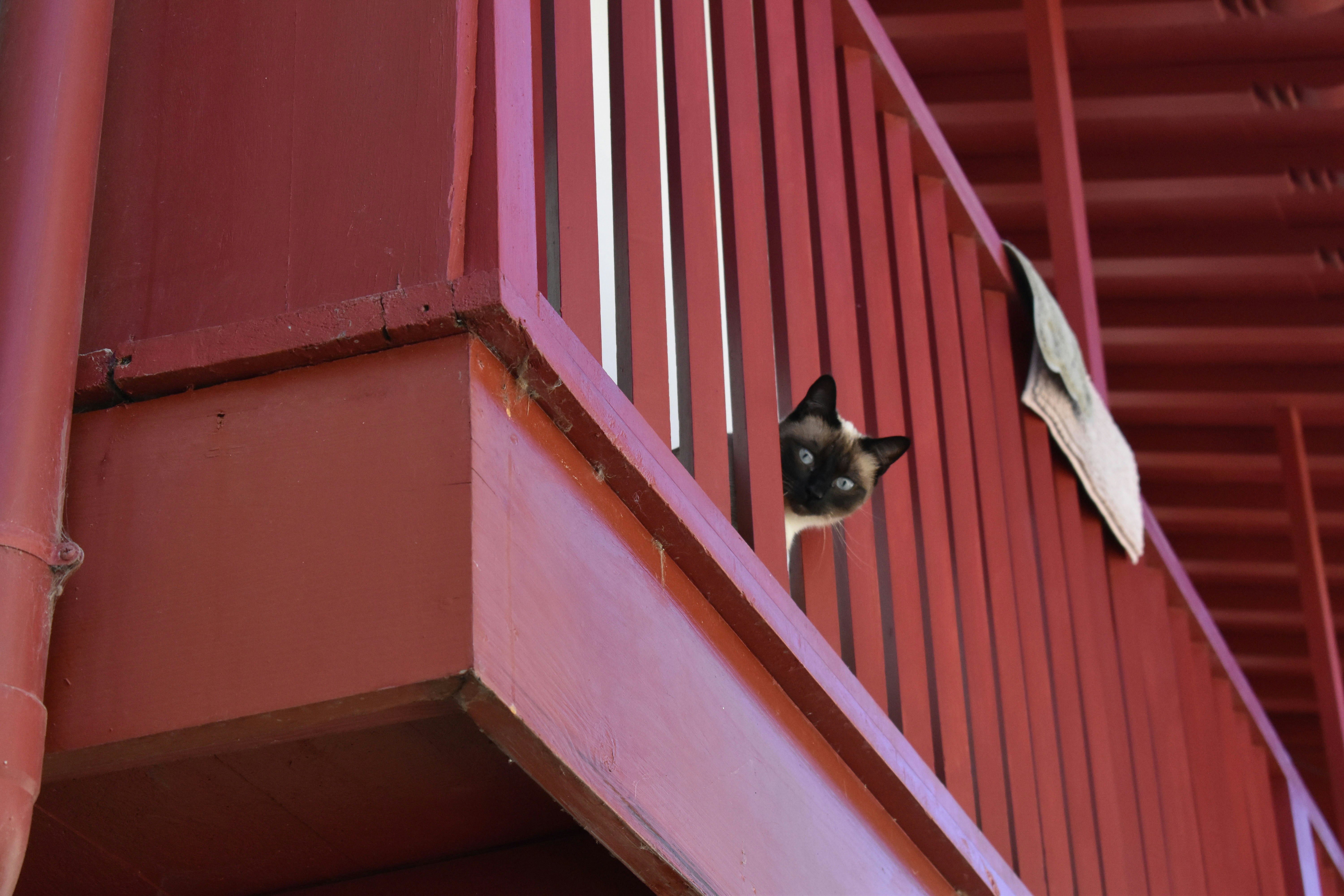 Photo by msivrictech