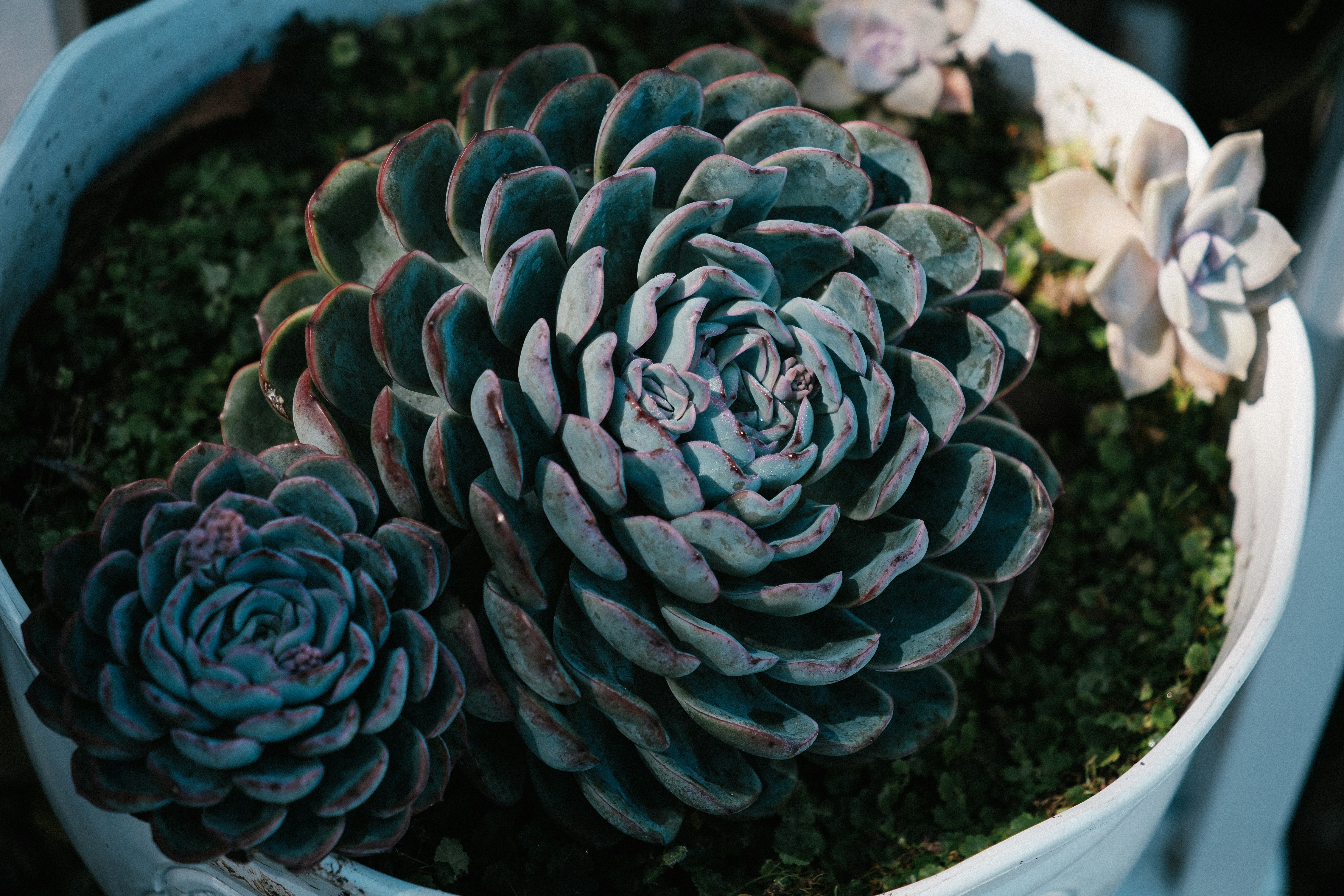 Photo by huyphan2602