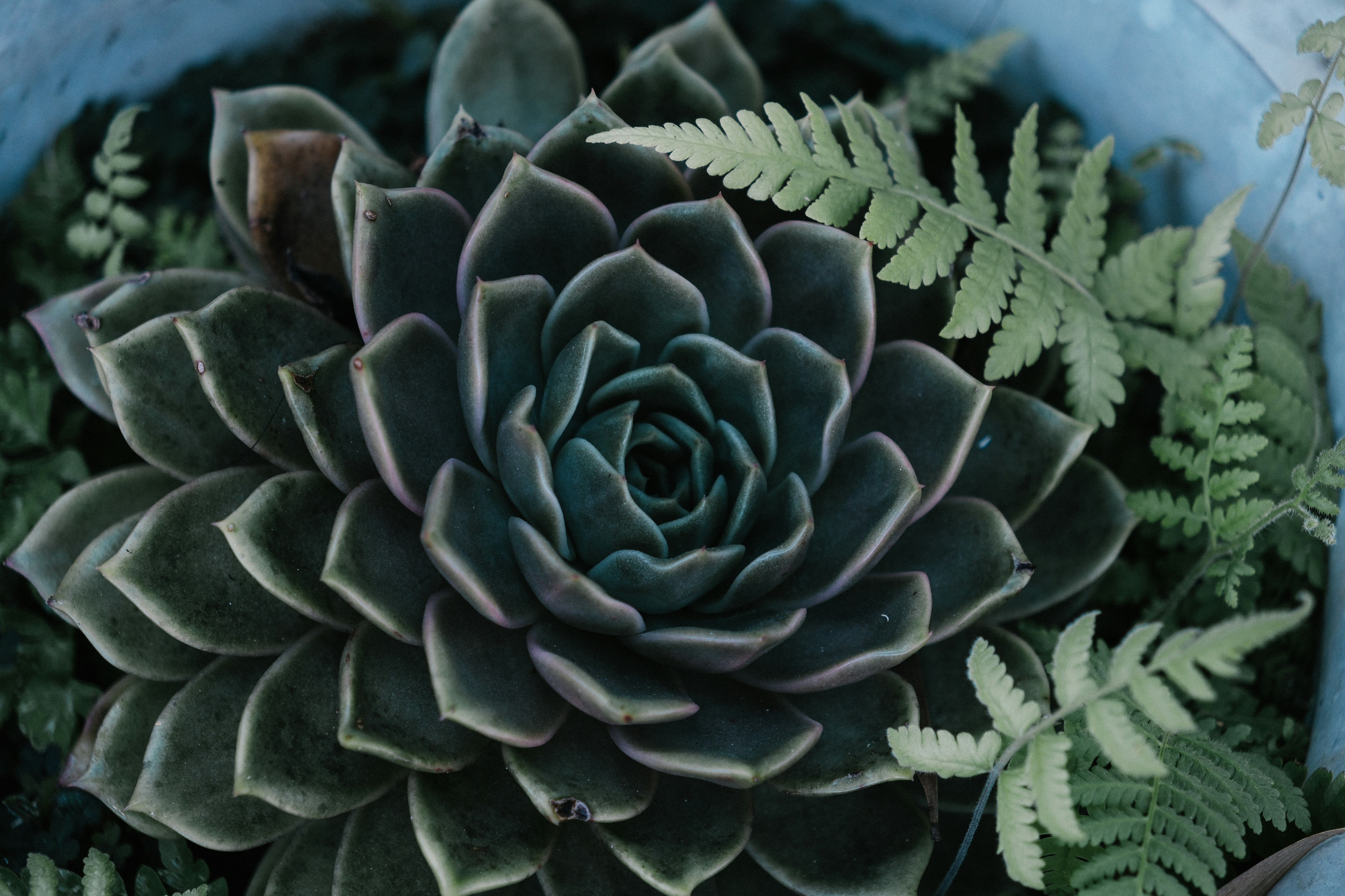 Photo by huyphan2602