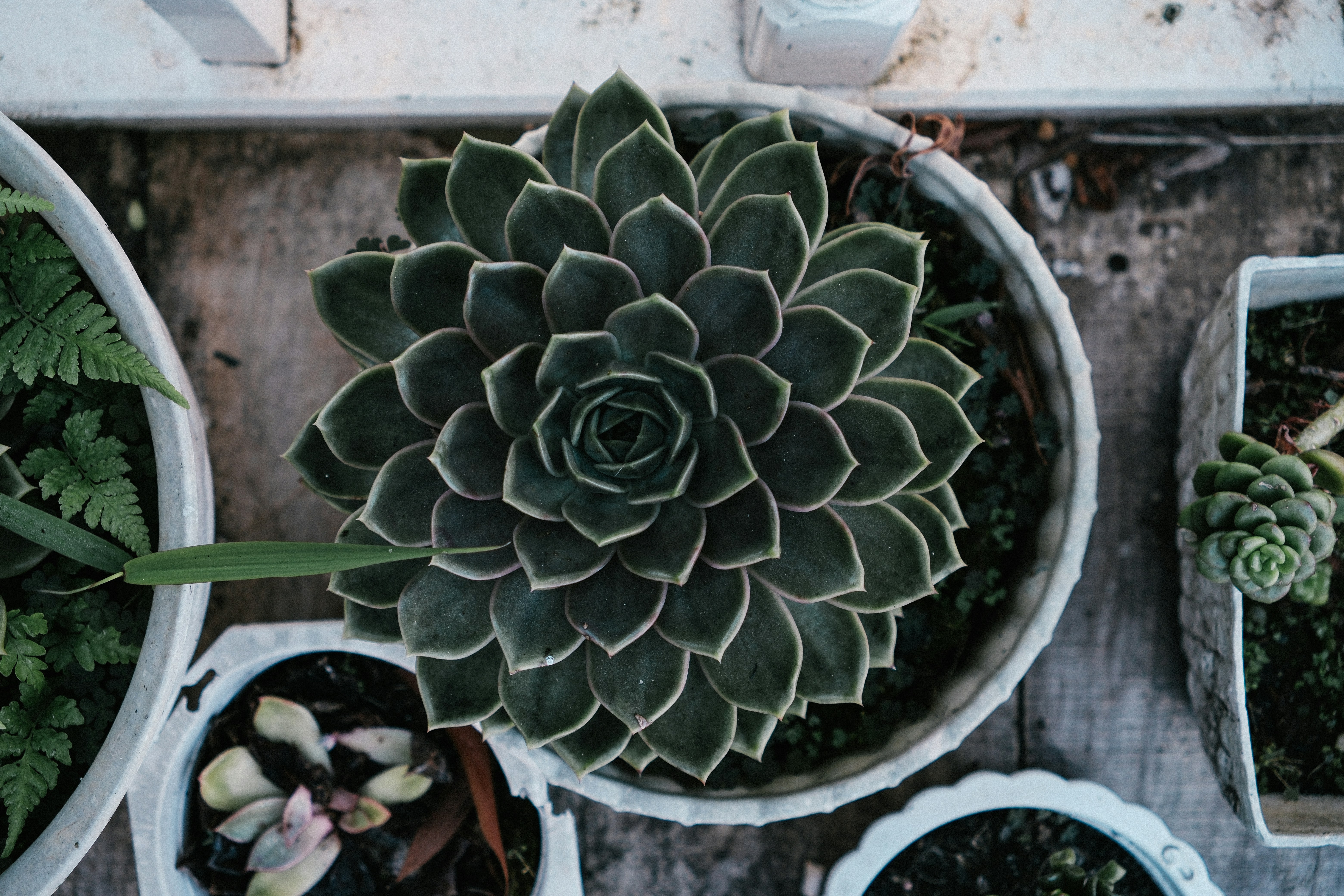 Photo by huyphan2602