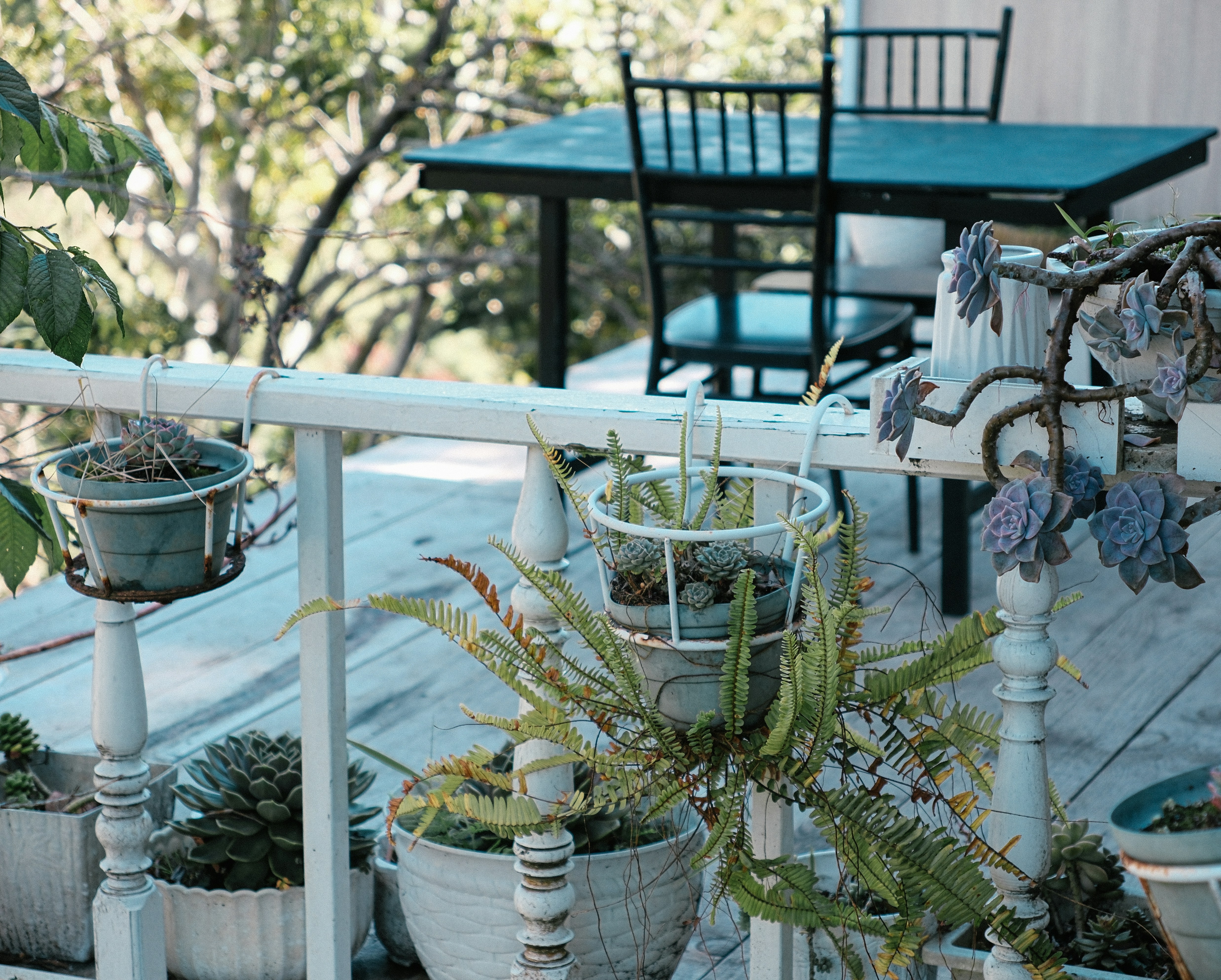 White Decorative Pebbles Covering Potted Plants In A Balcony Garden Setting