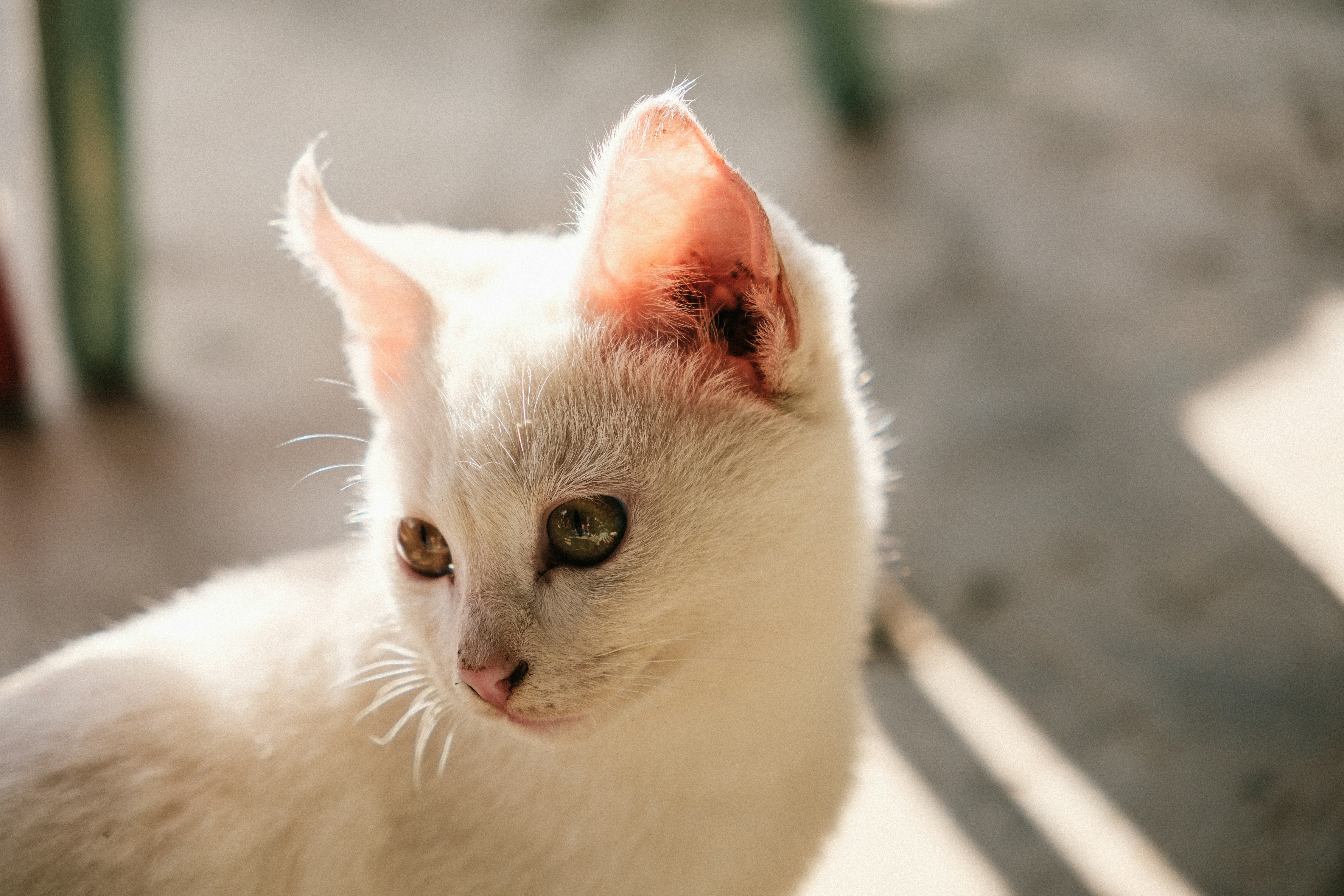 Photo by huyphan2602