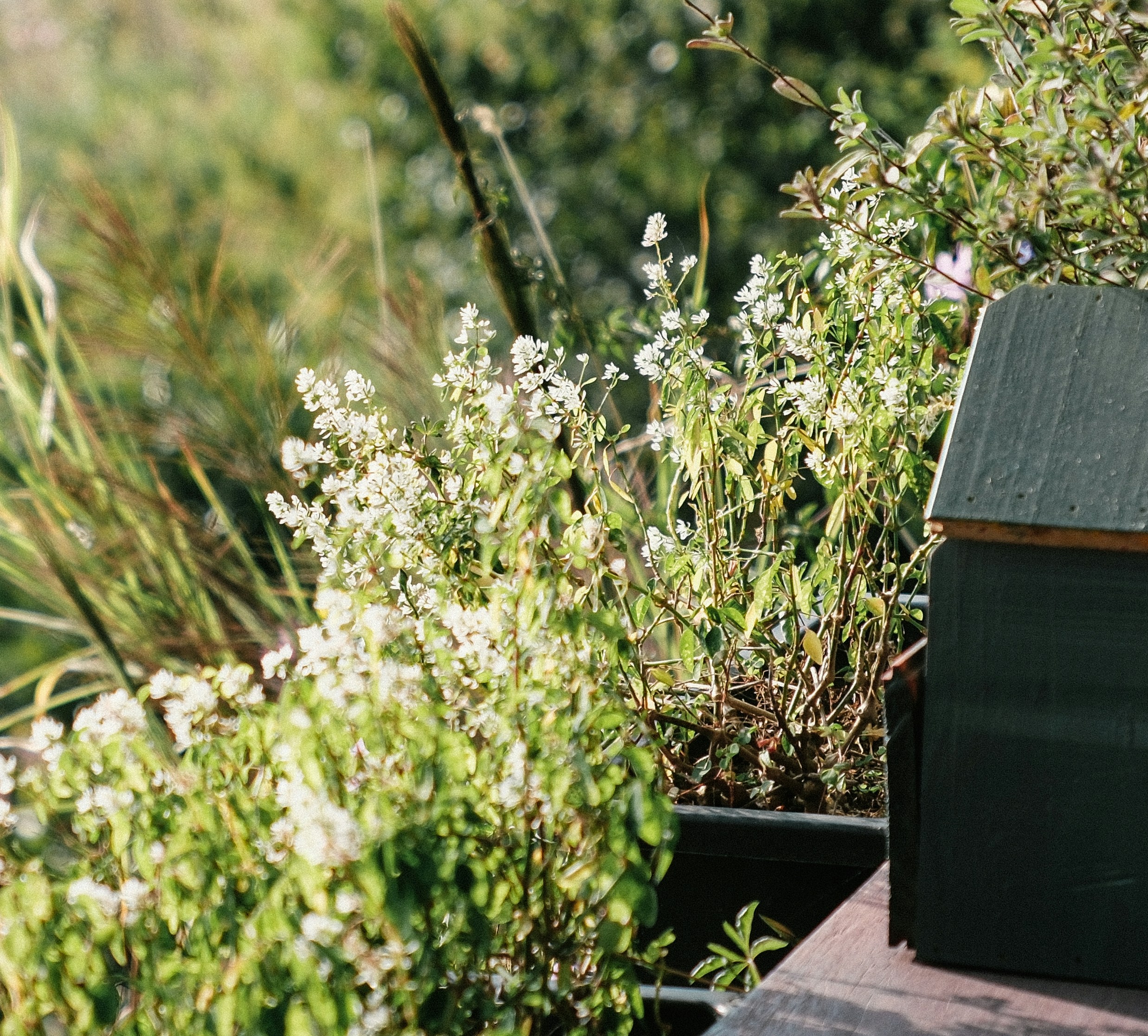 Photo by huyphan2602