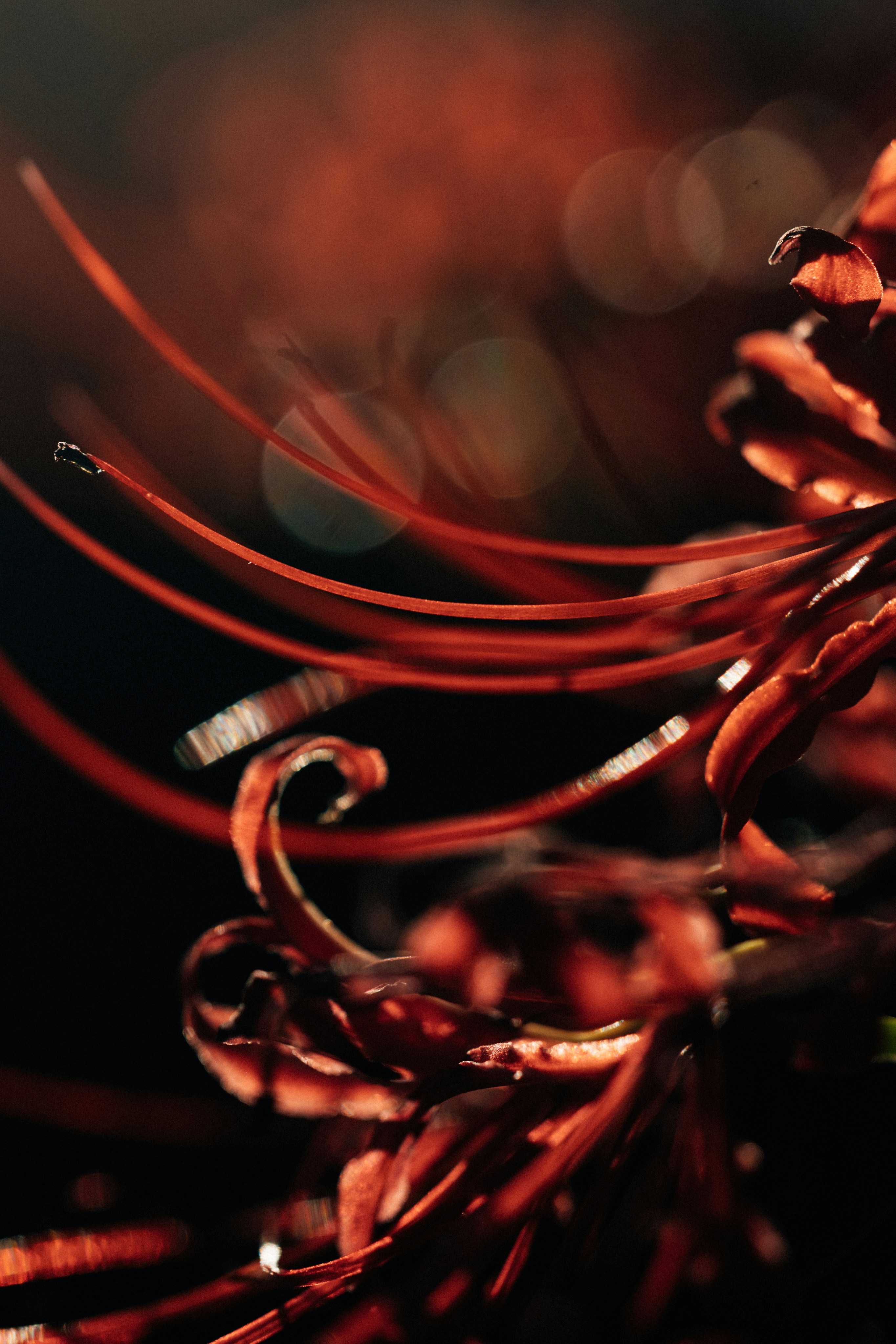 Photo by tsuyoshikozu