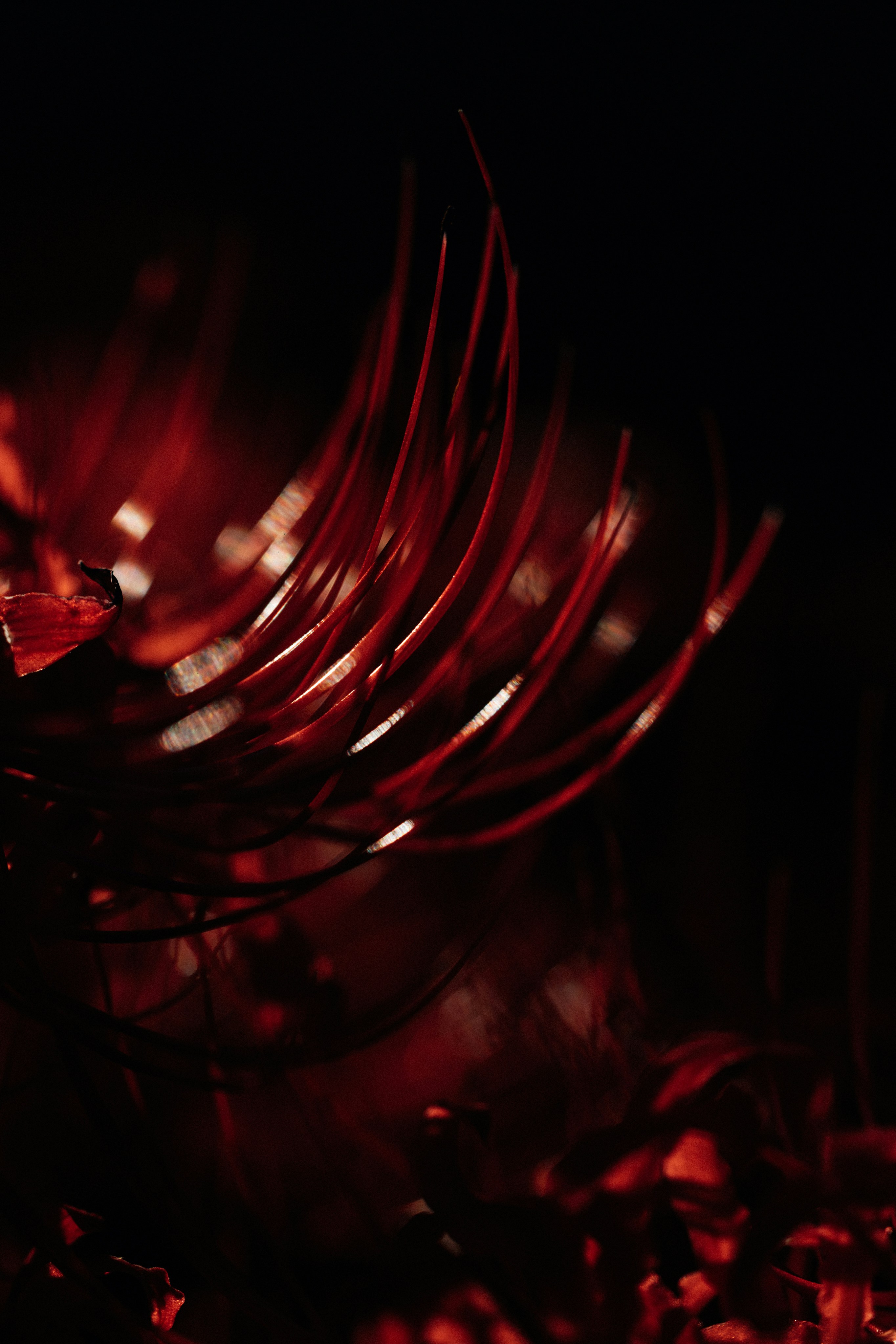 Photo by tsuyoshikozu