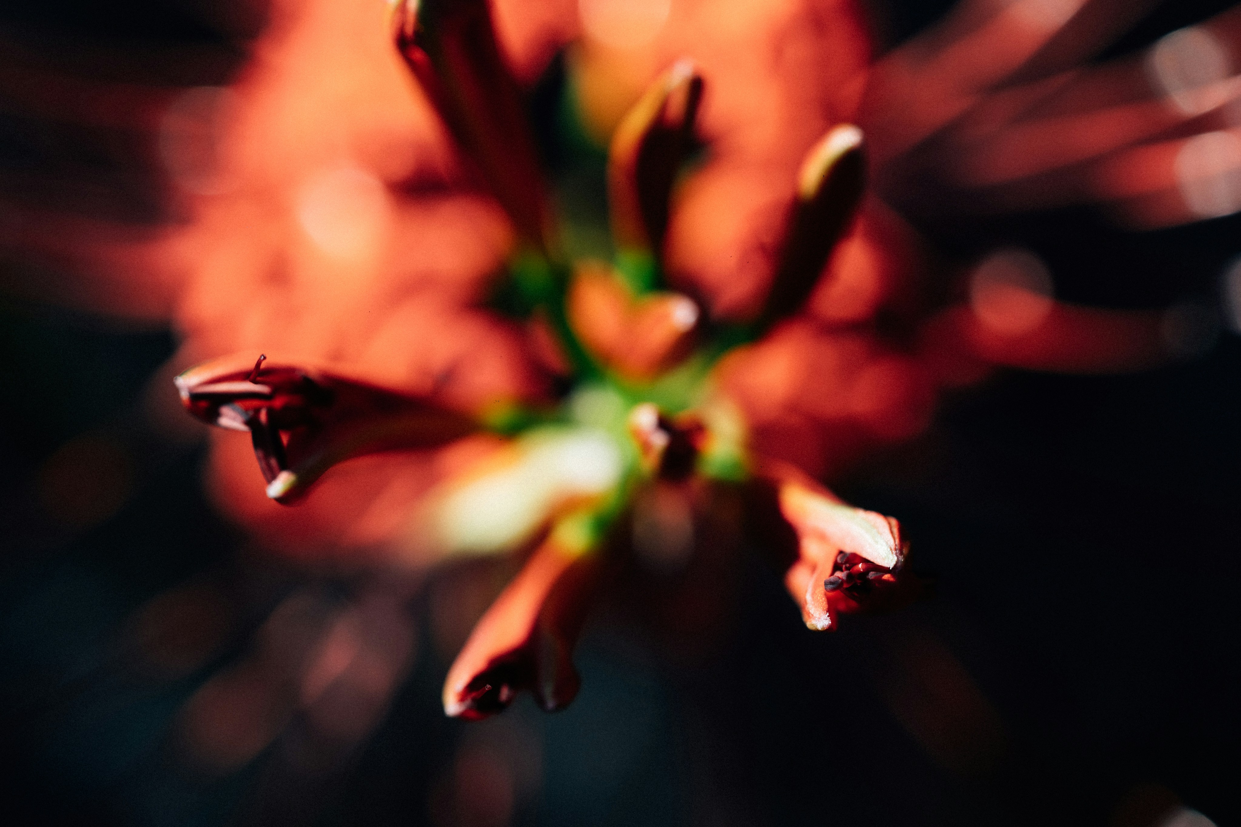 Photo by tsuyoshikozu