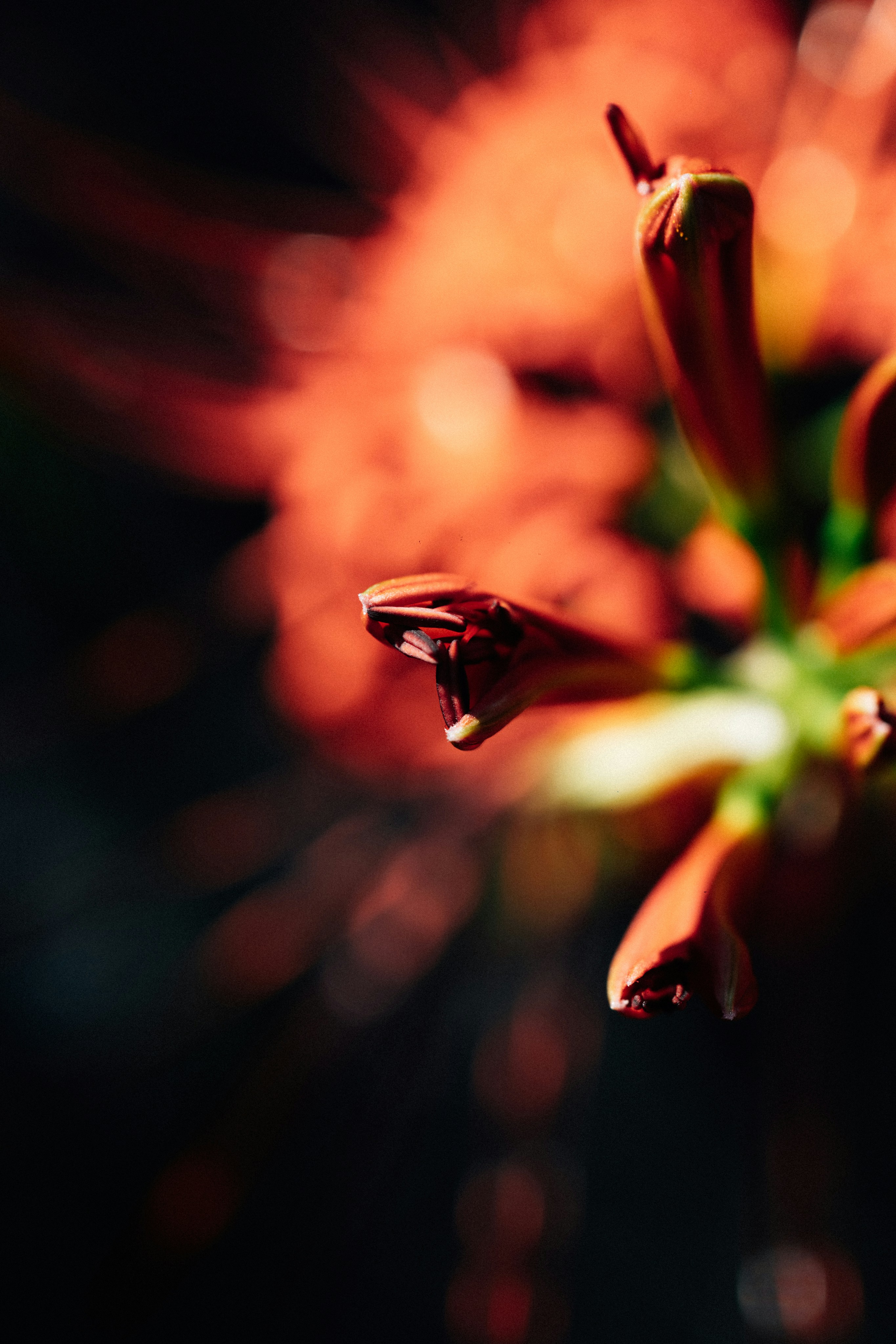 Photo by tsuyoshikozu