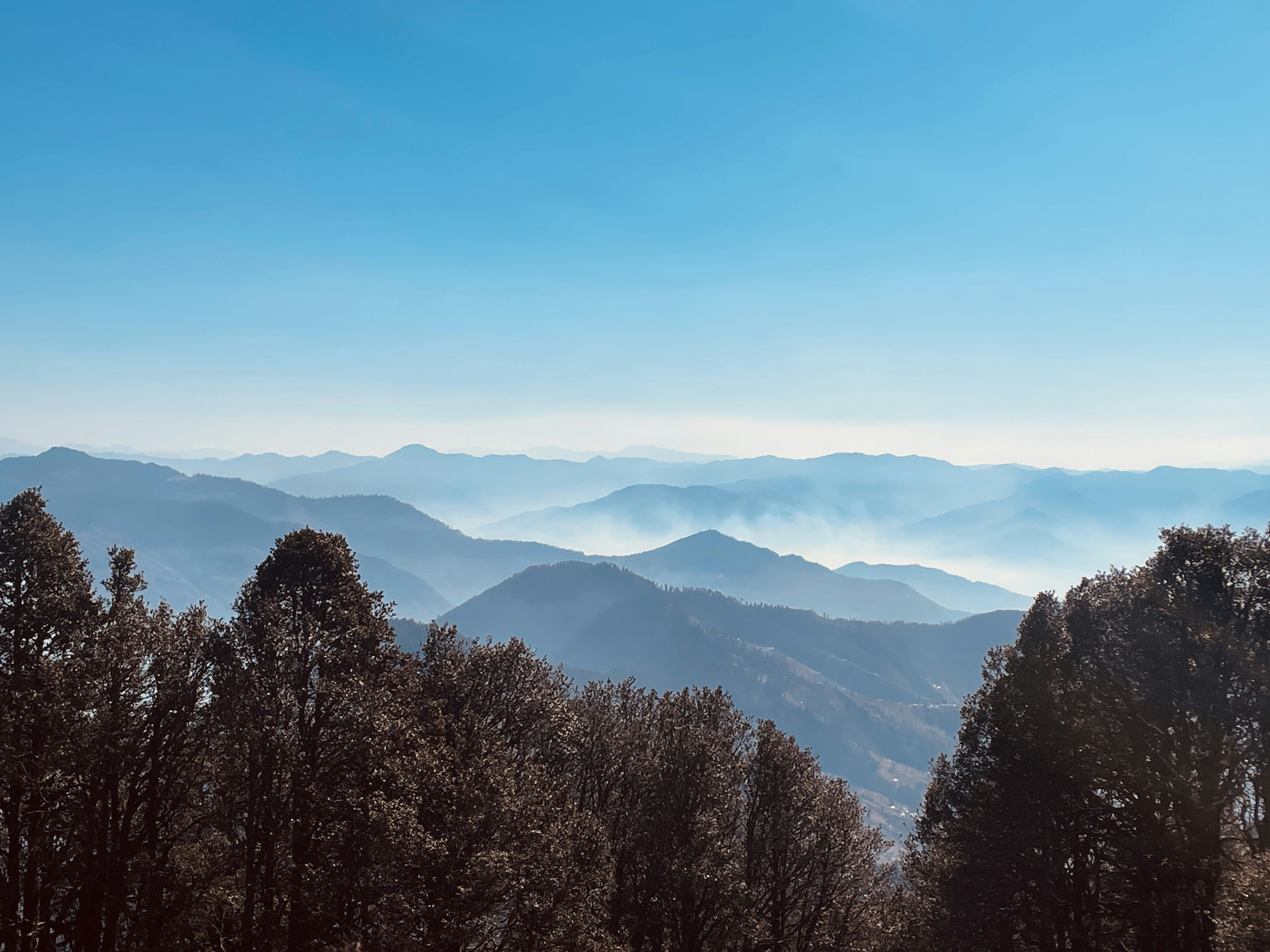 Photo by decomposeeeee