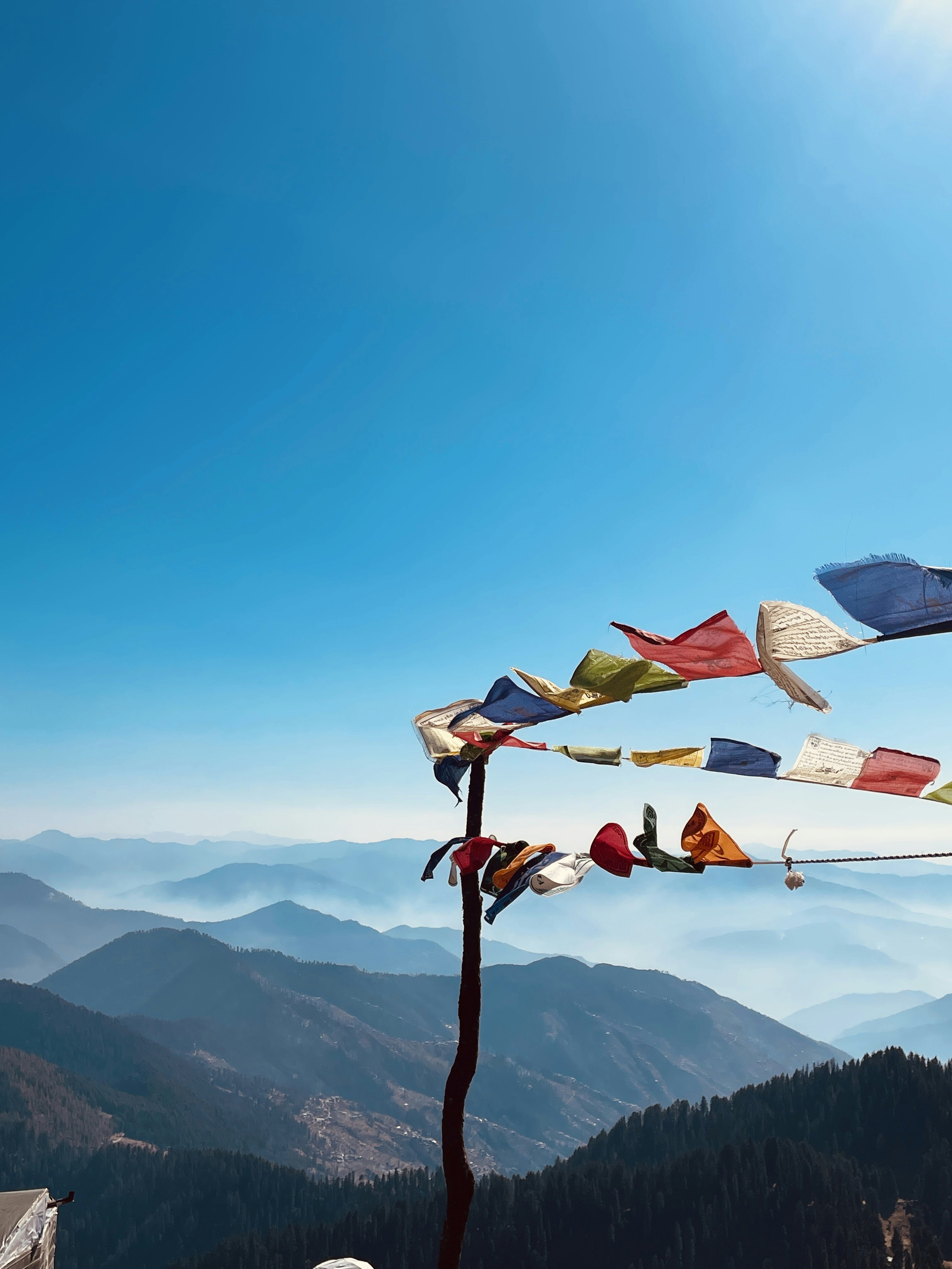 Photo by decomposeeeee