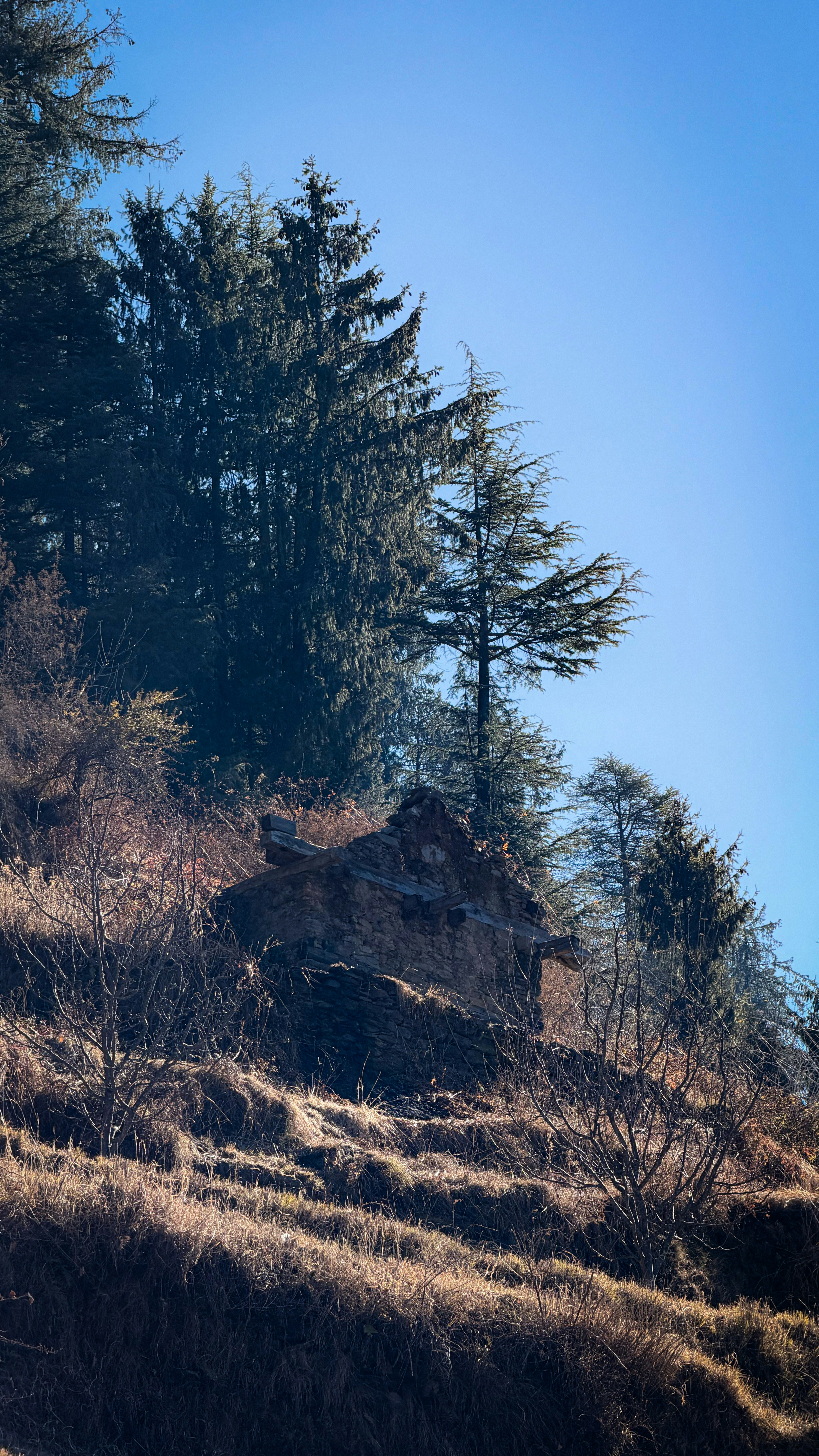 草むらの丘の上にある古い廃墟の石造りの家。