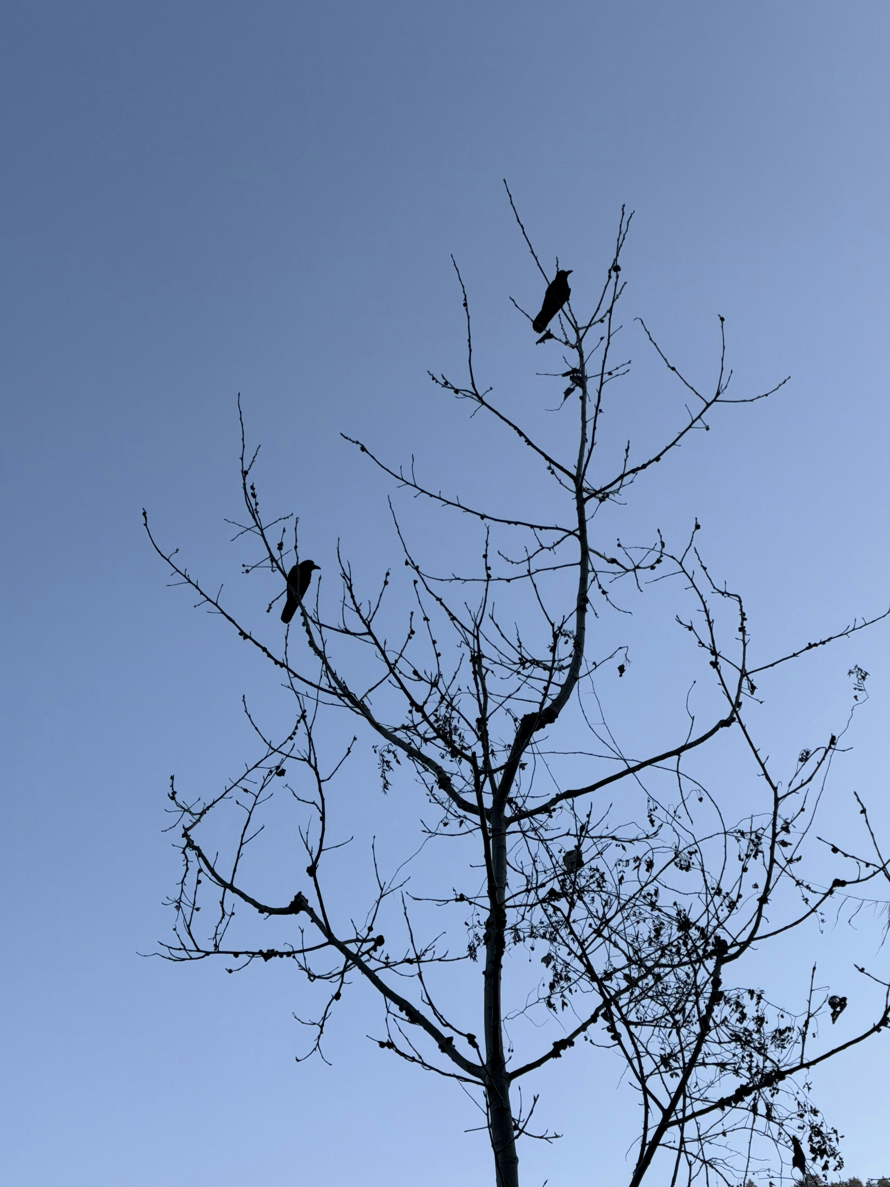 Photo by decomposeeeee