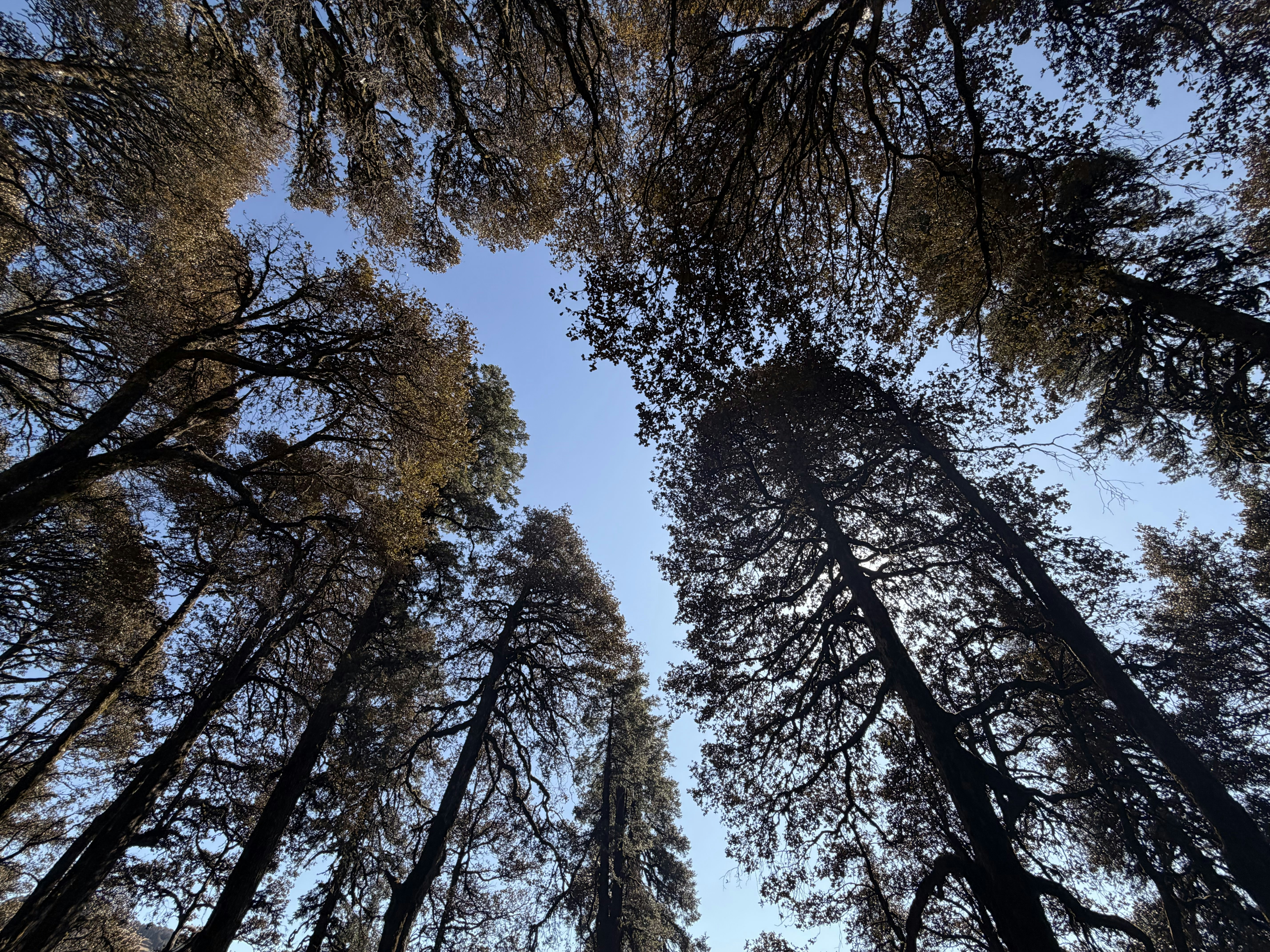 Photo by decomposeeeee