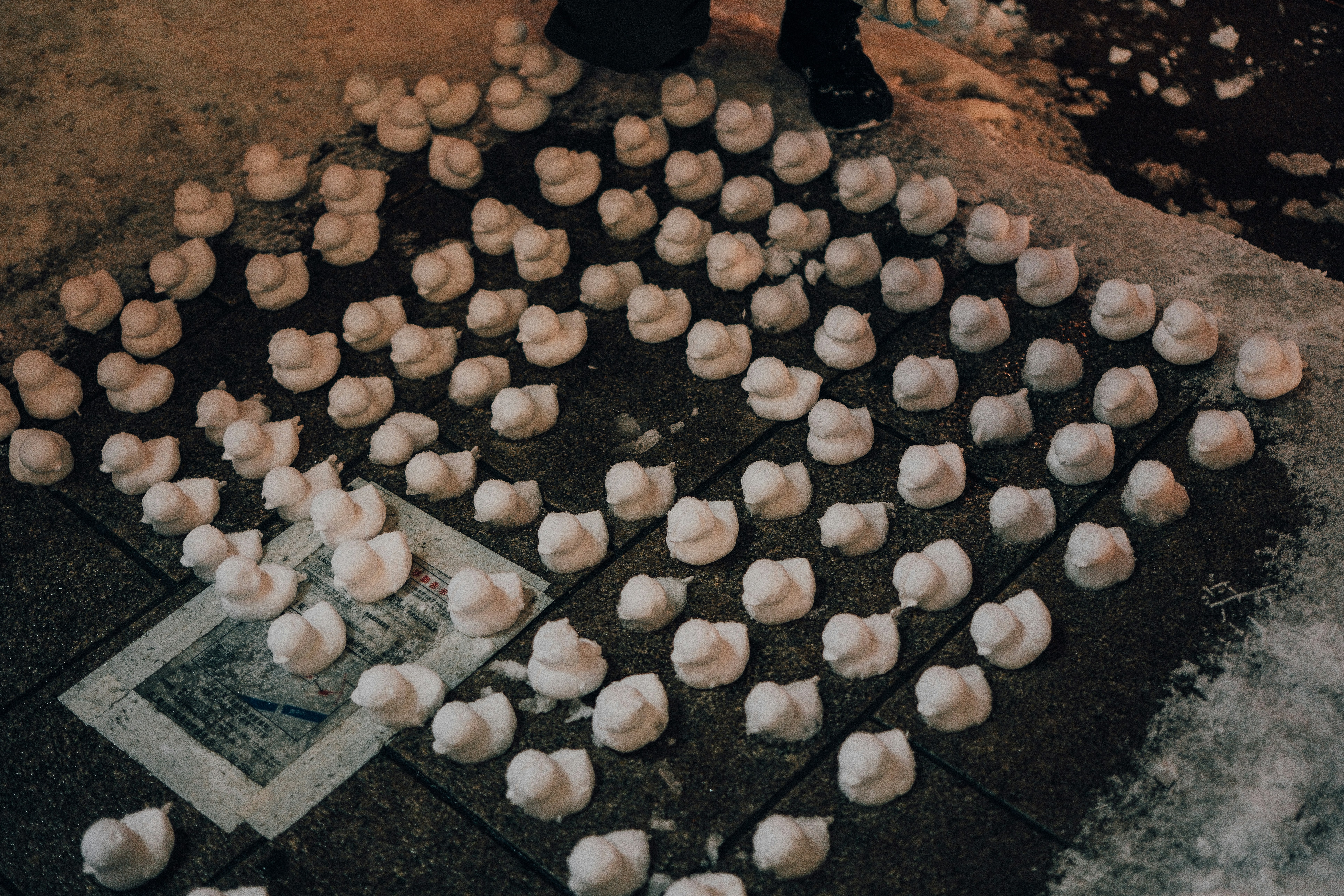 Many small white objects arranged in rows on floor