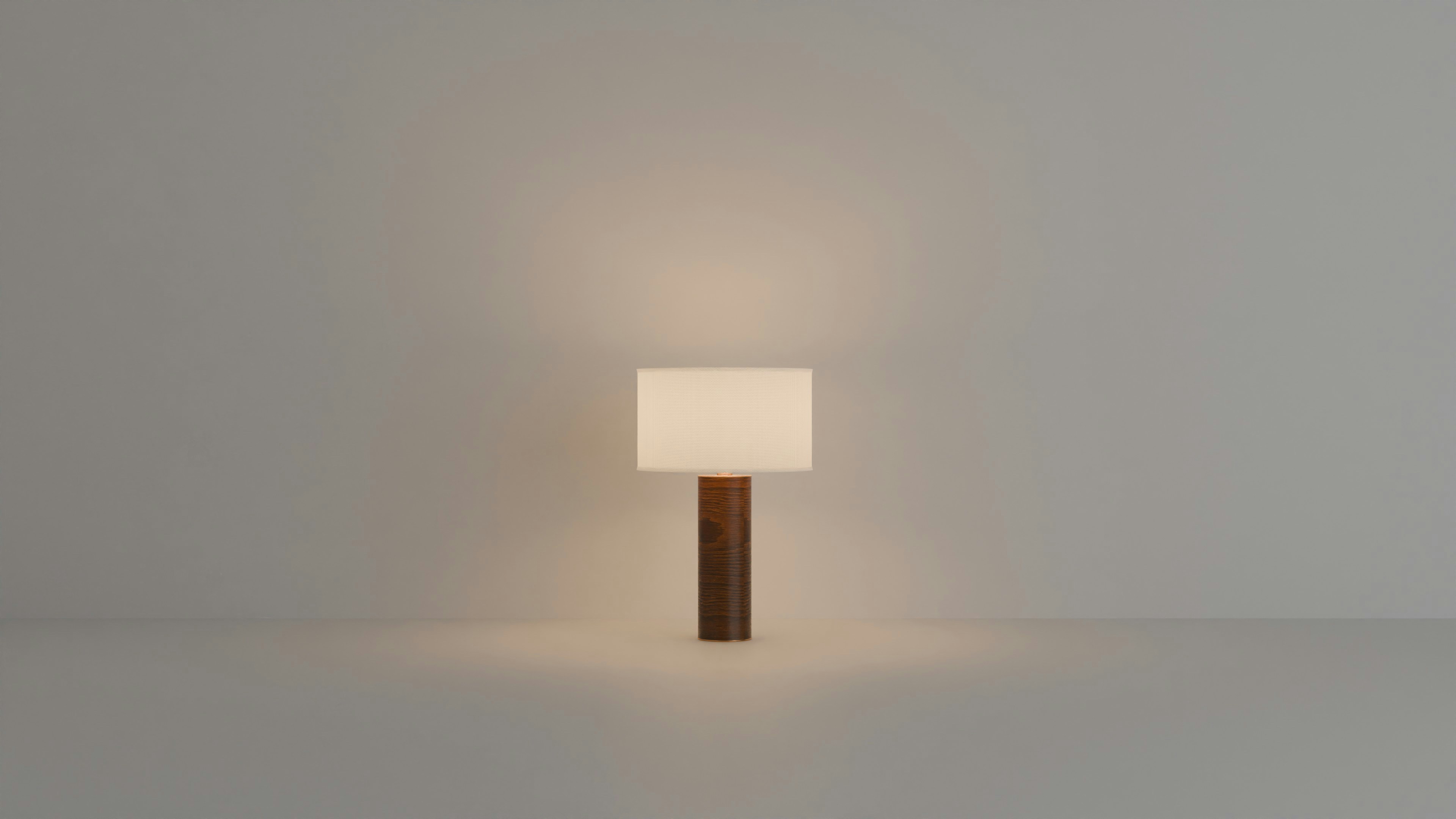 A modern lamp with a wooden base glows softly.